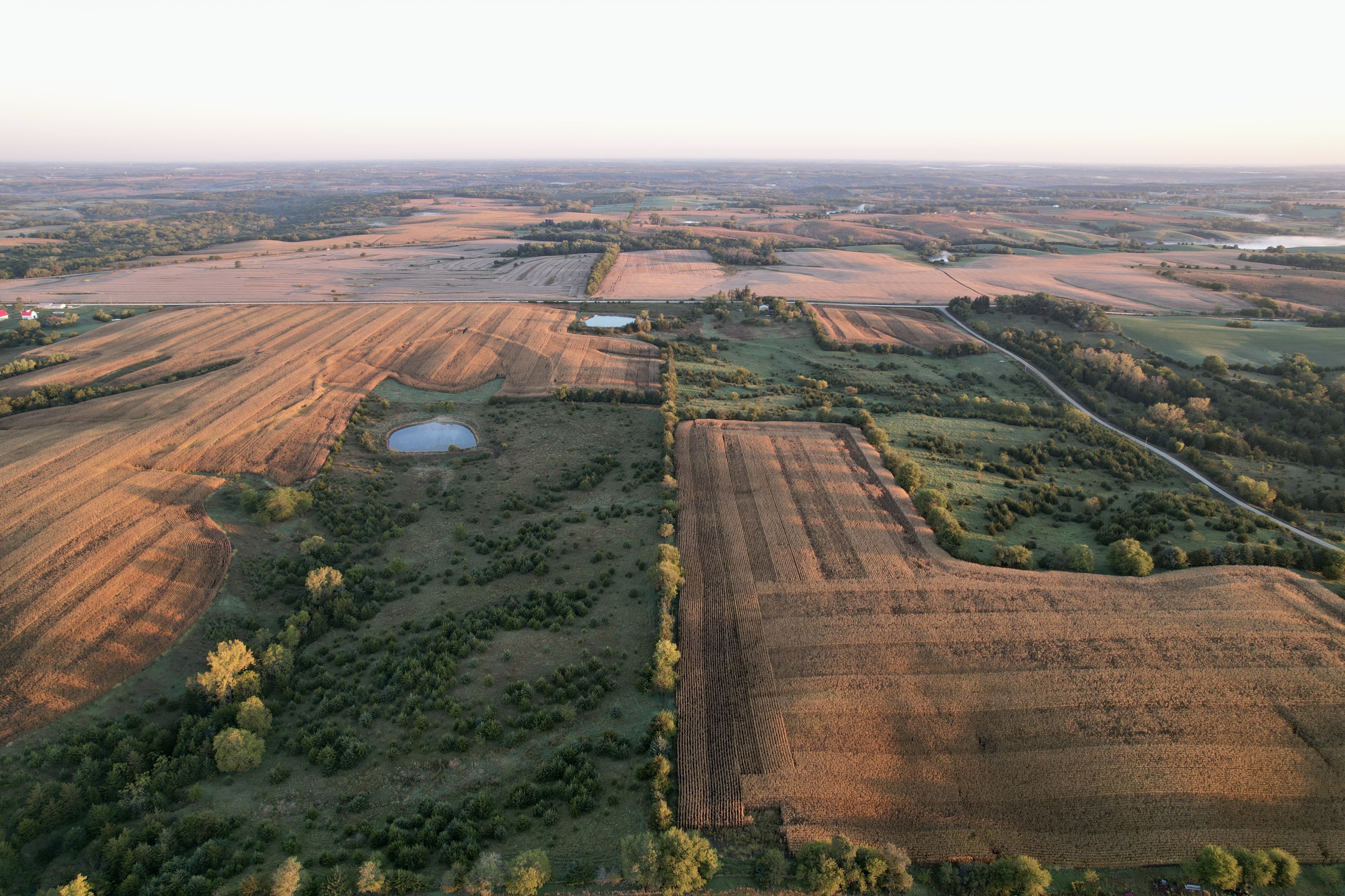 Listing Photo: DJI_0230