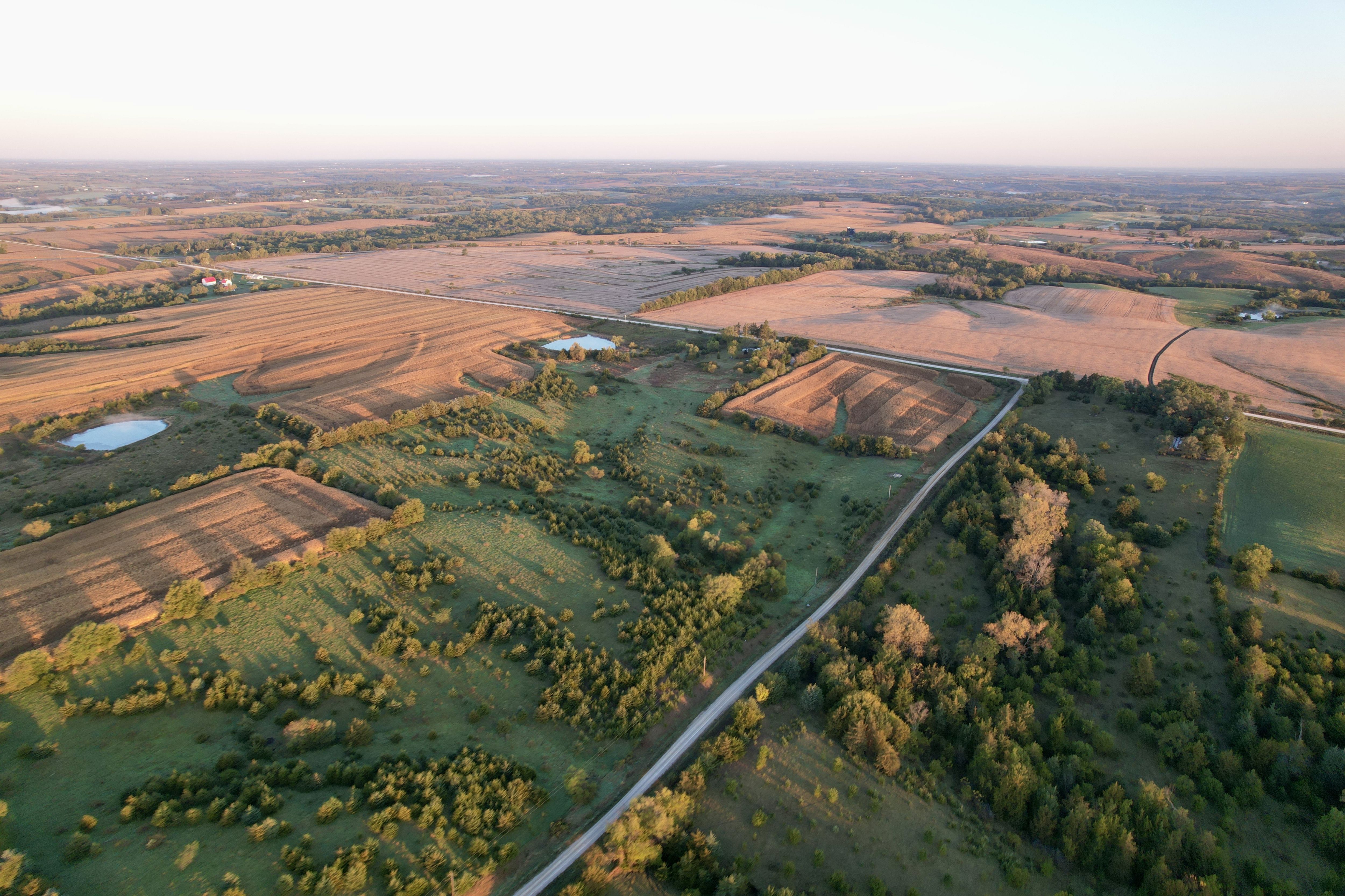 Listing Photo: DJI_0235