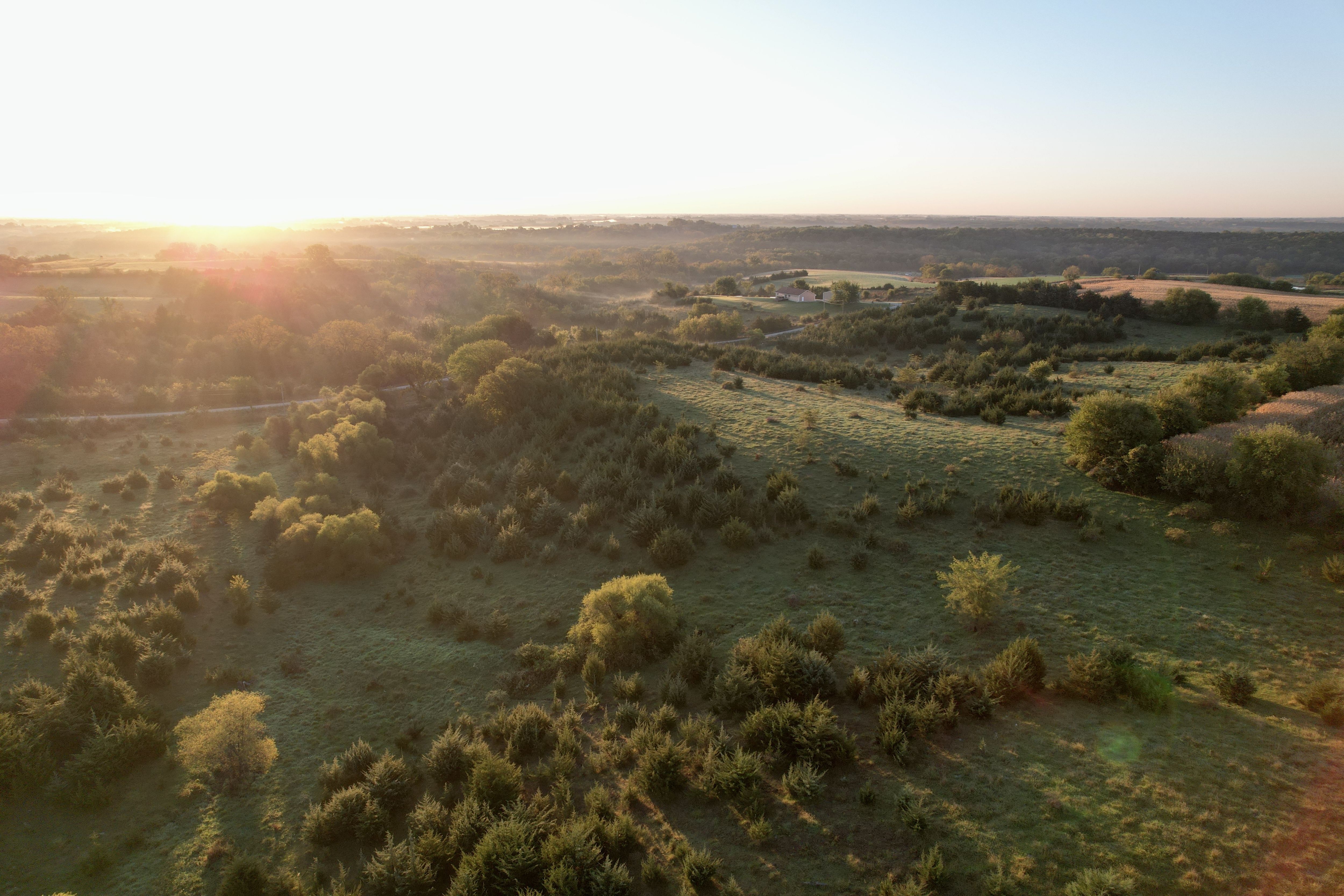 Listing Photo: DJI_0247