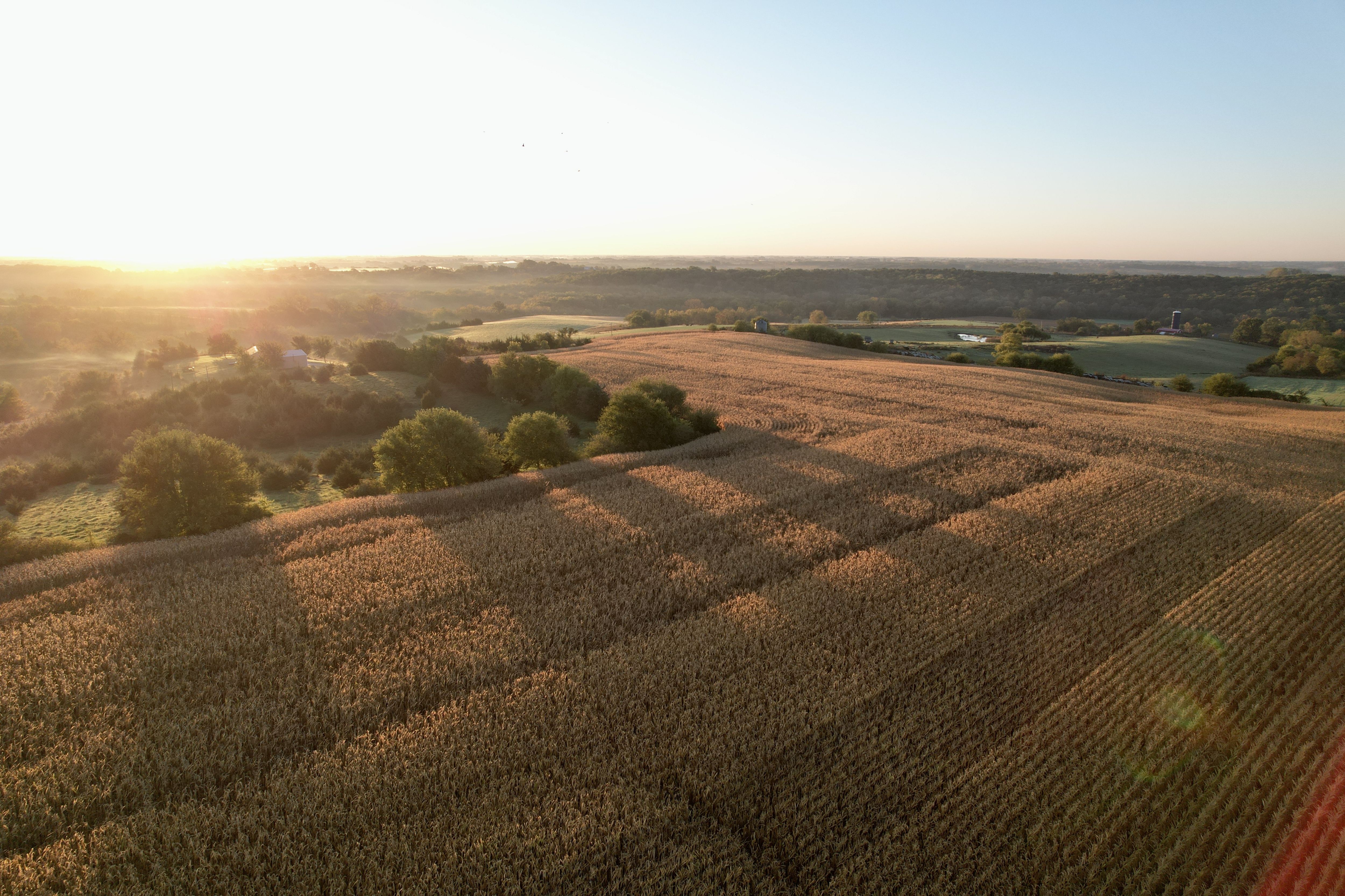 Listing Photo: DJI_0249