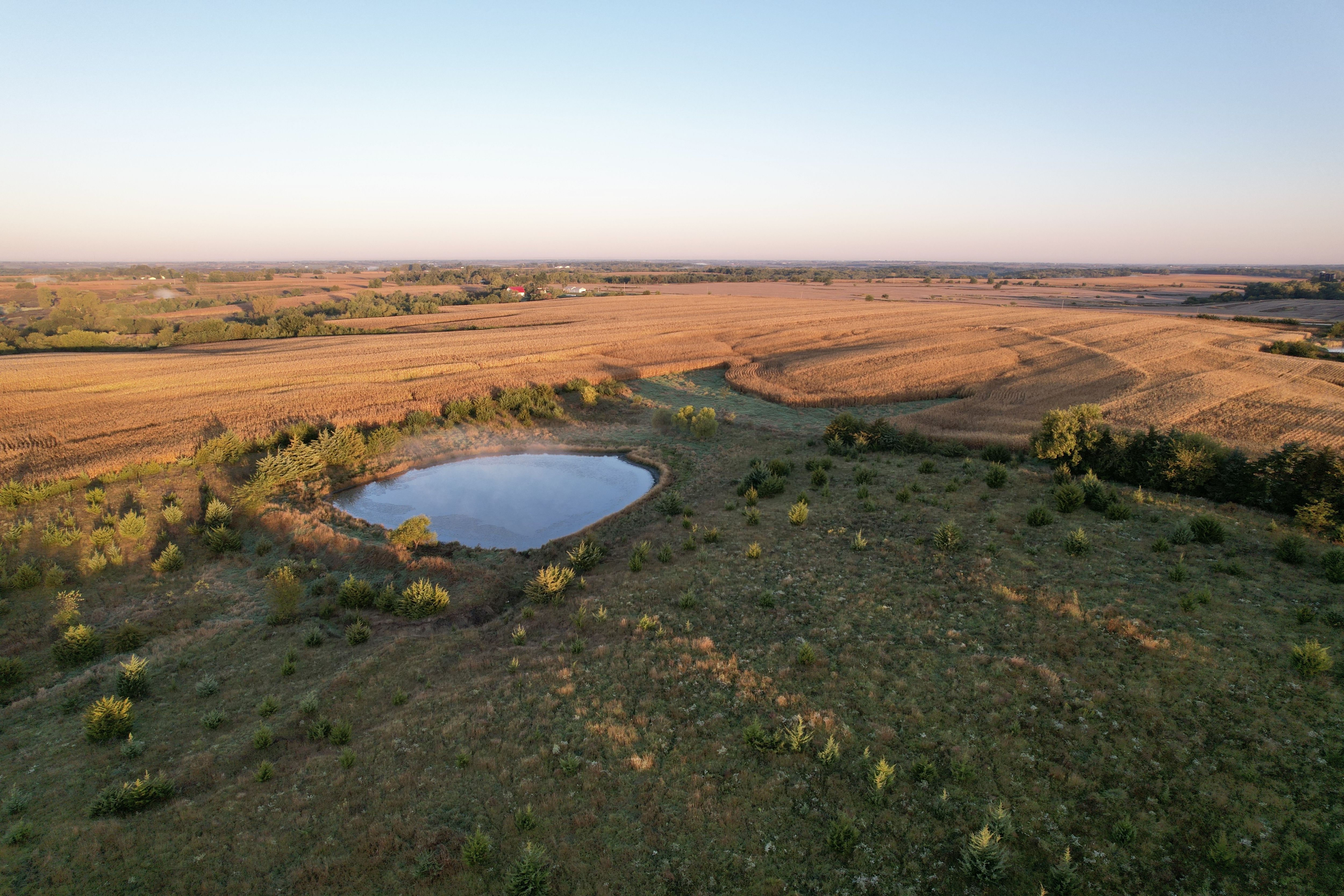 Listing Photo: DJI_0250