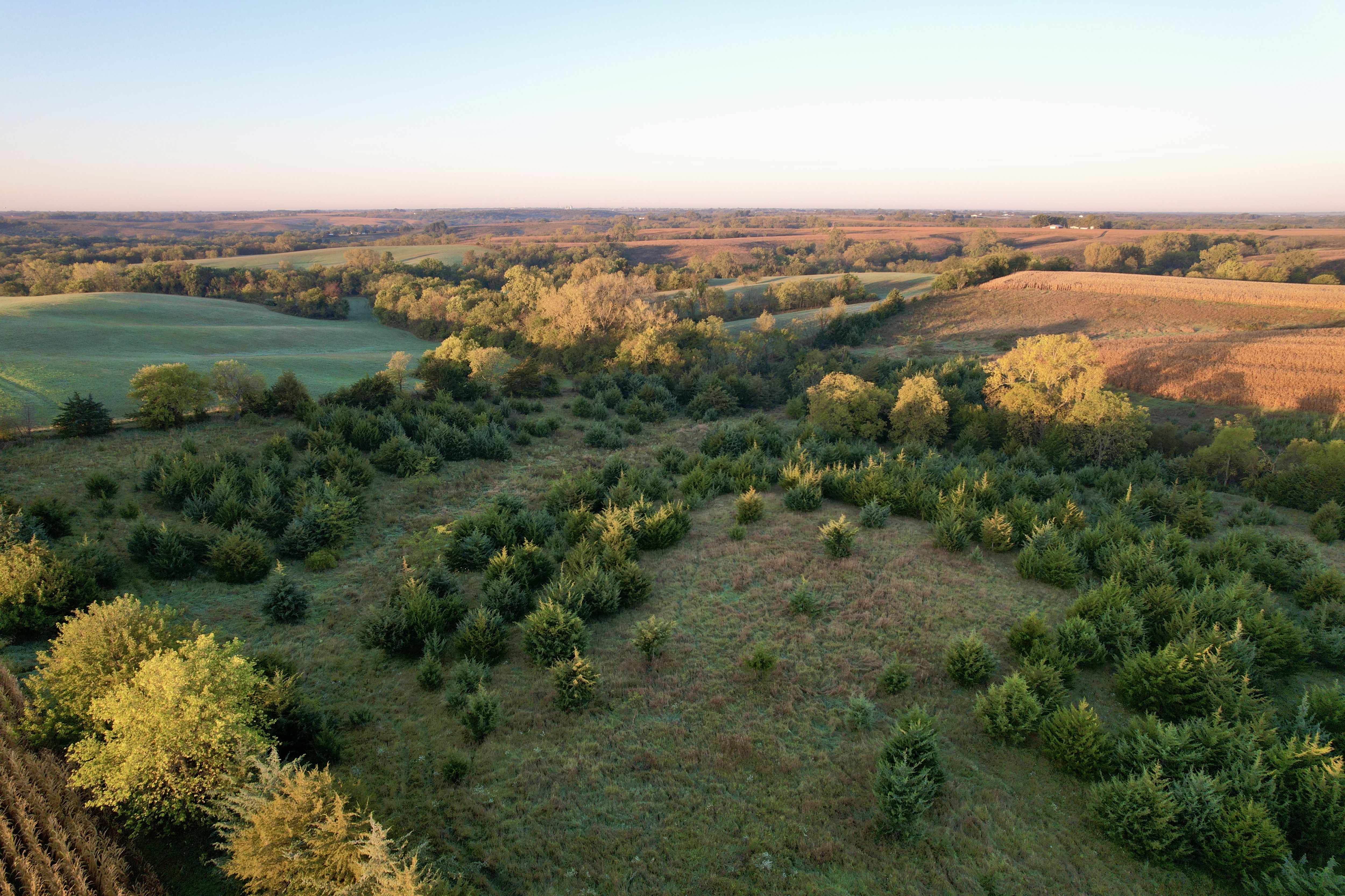 Listing Photo: DJI_0252