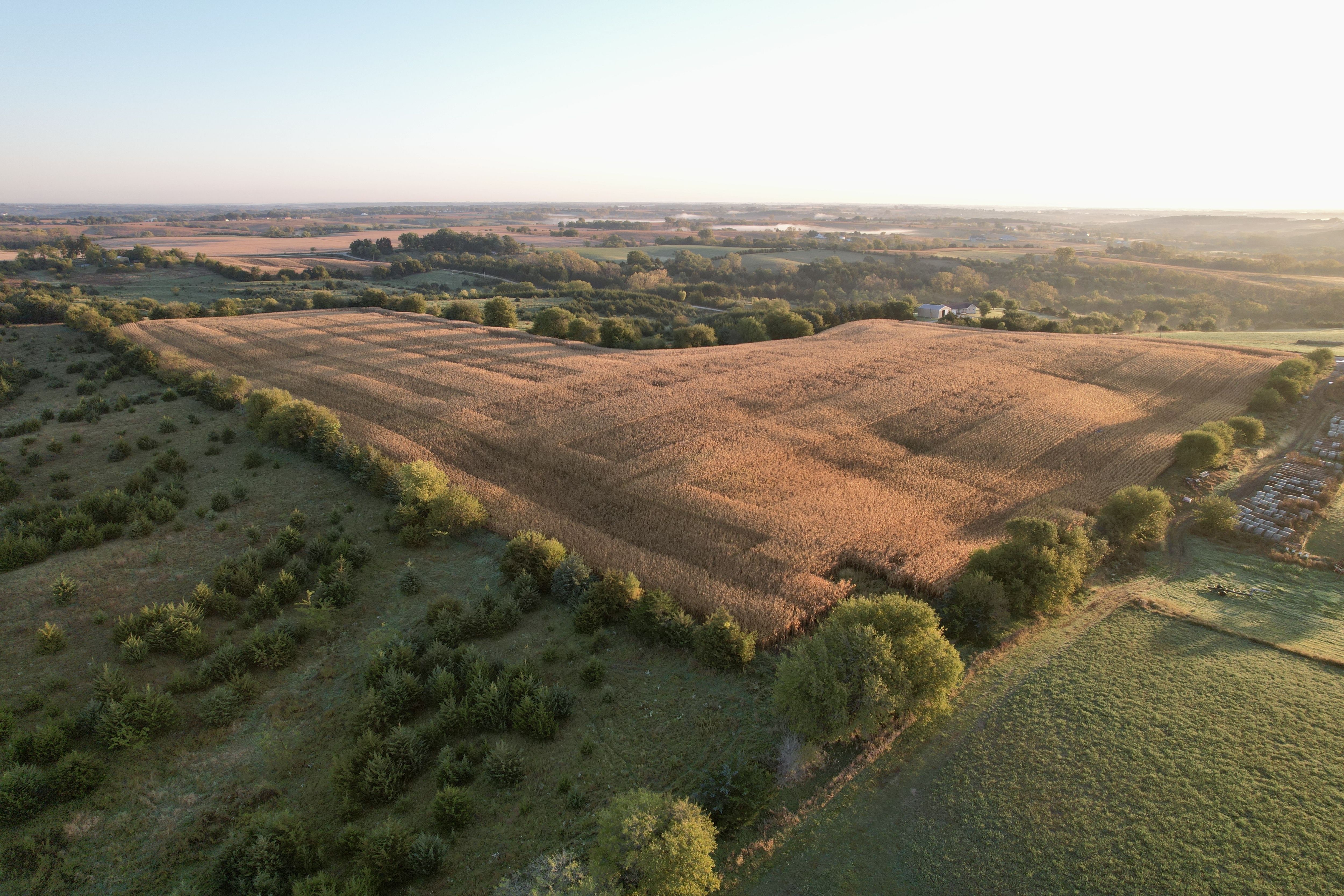 Listing Photo: DJI_0254