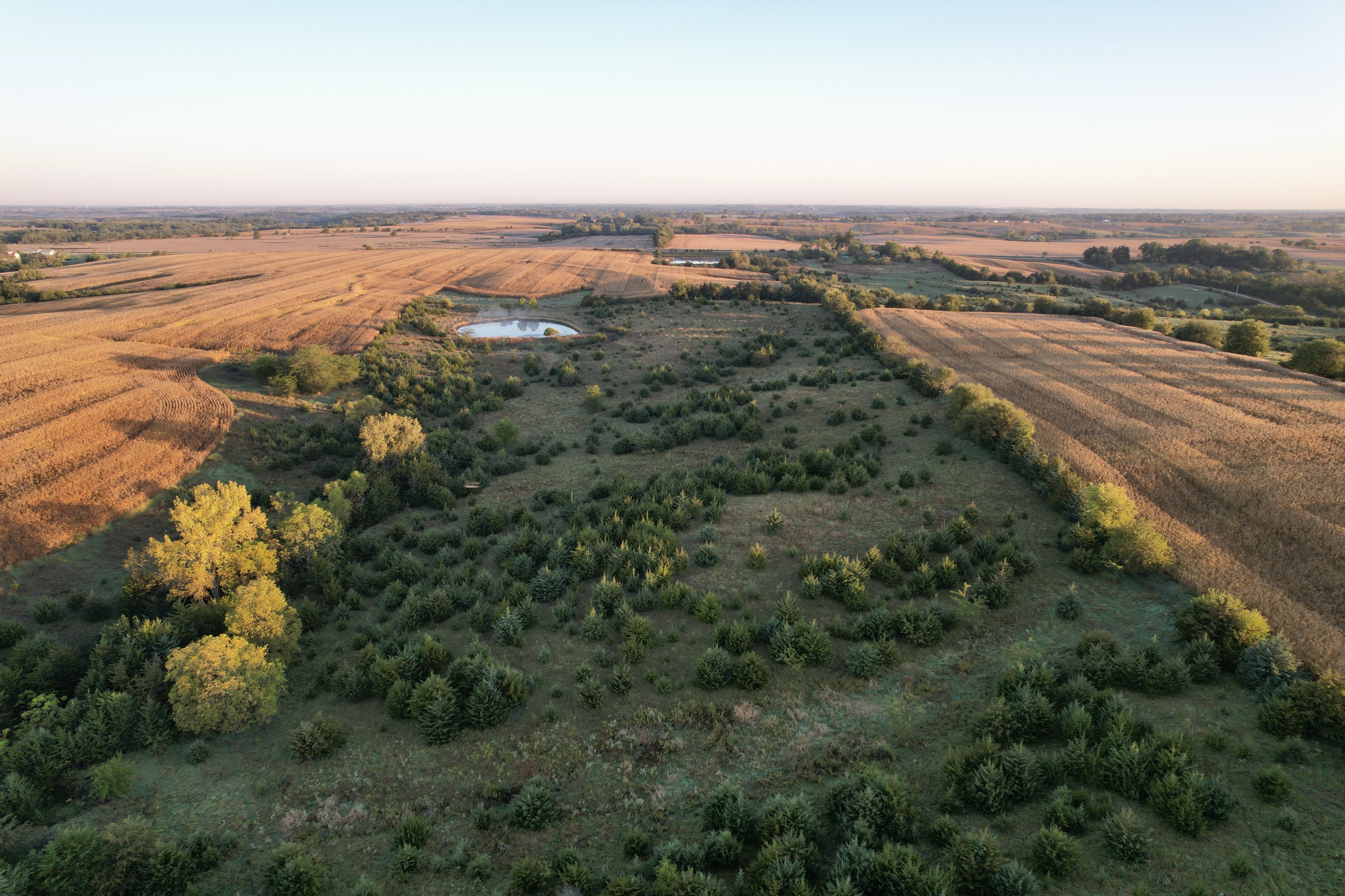 Listing Photo: DJI_0255