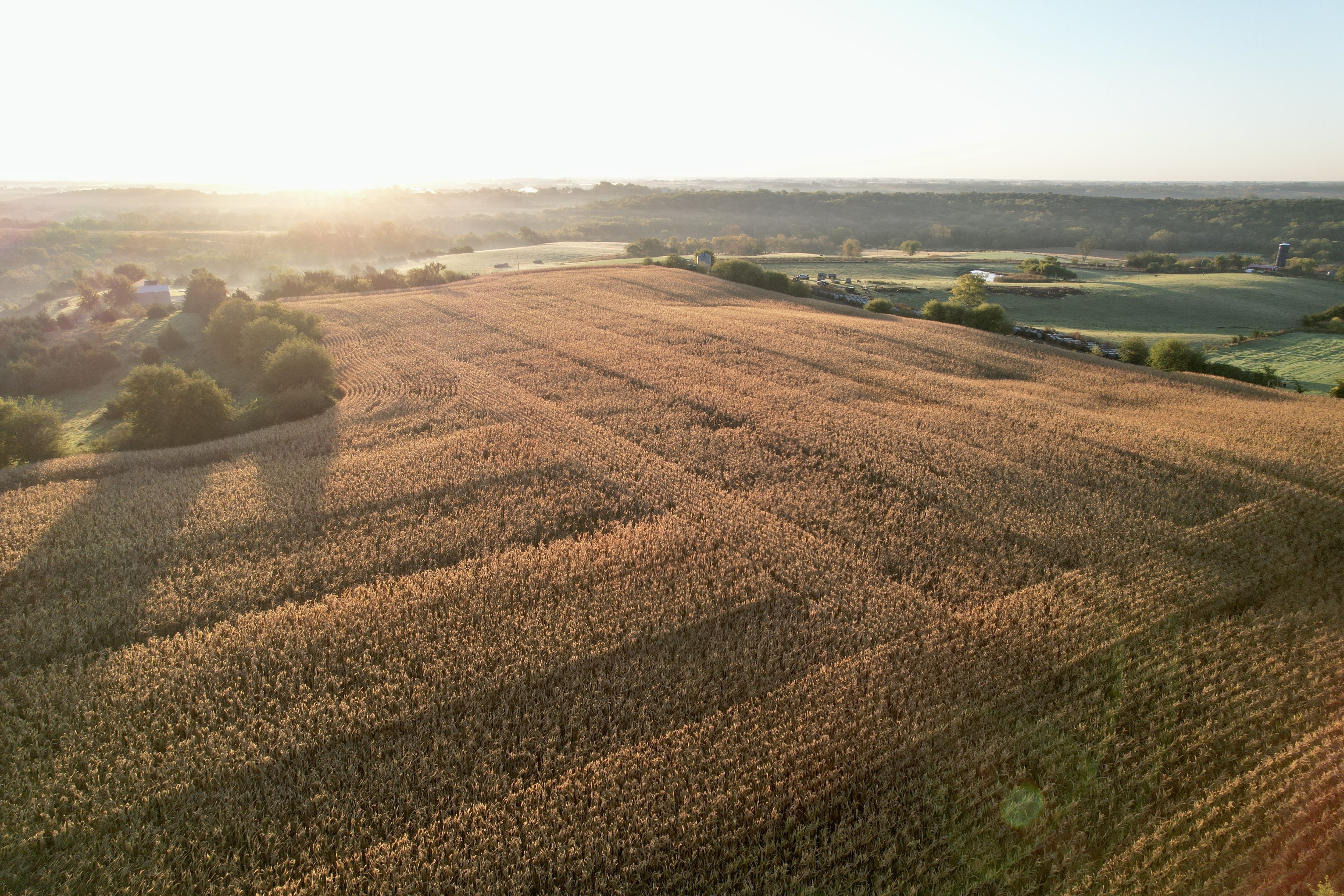 Listing Photo: DJI_0262