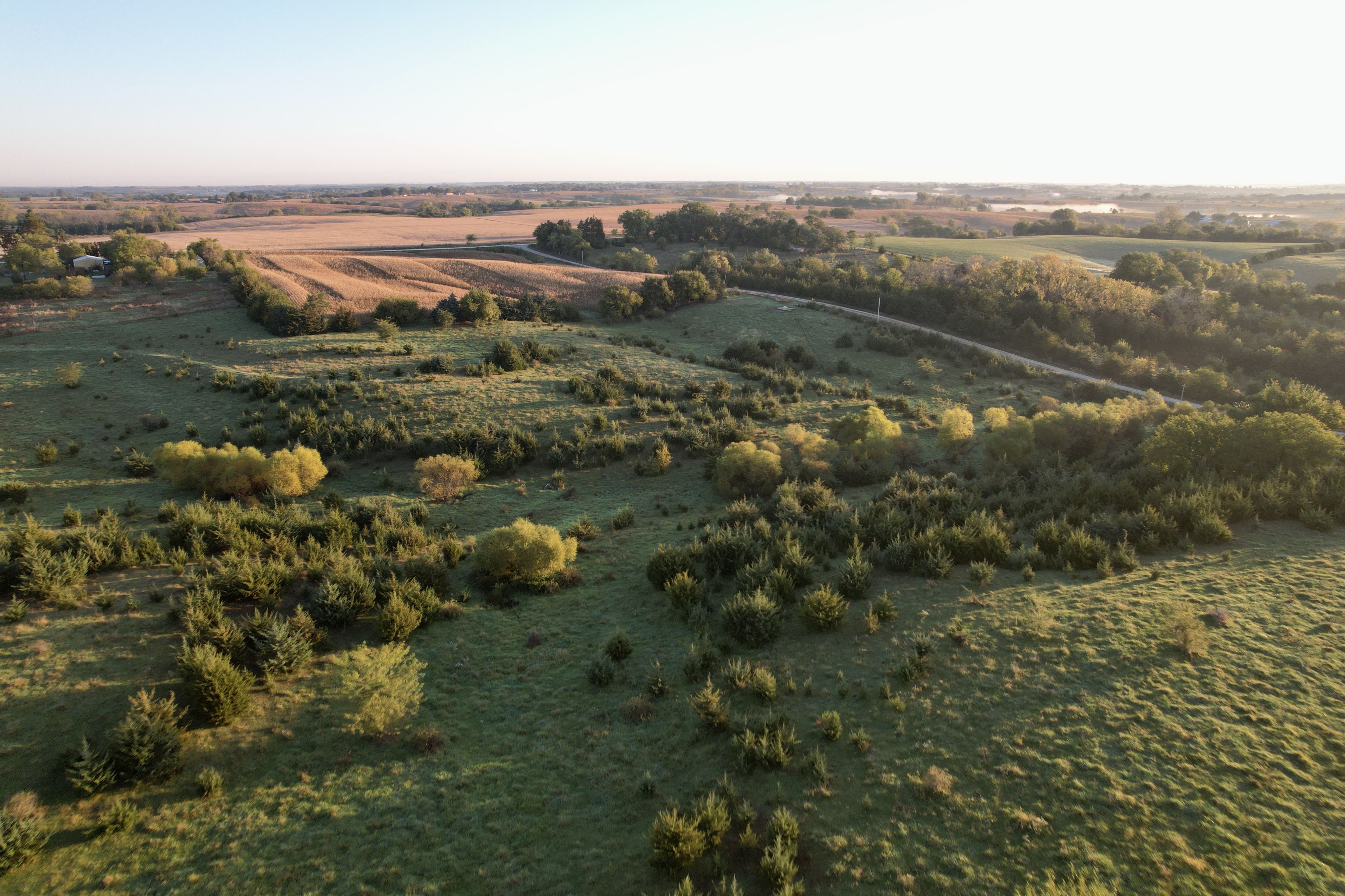 Listing Photo: DJI_0265