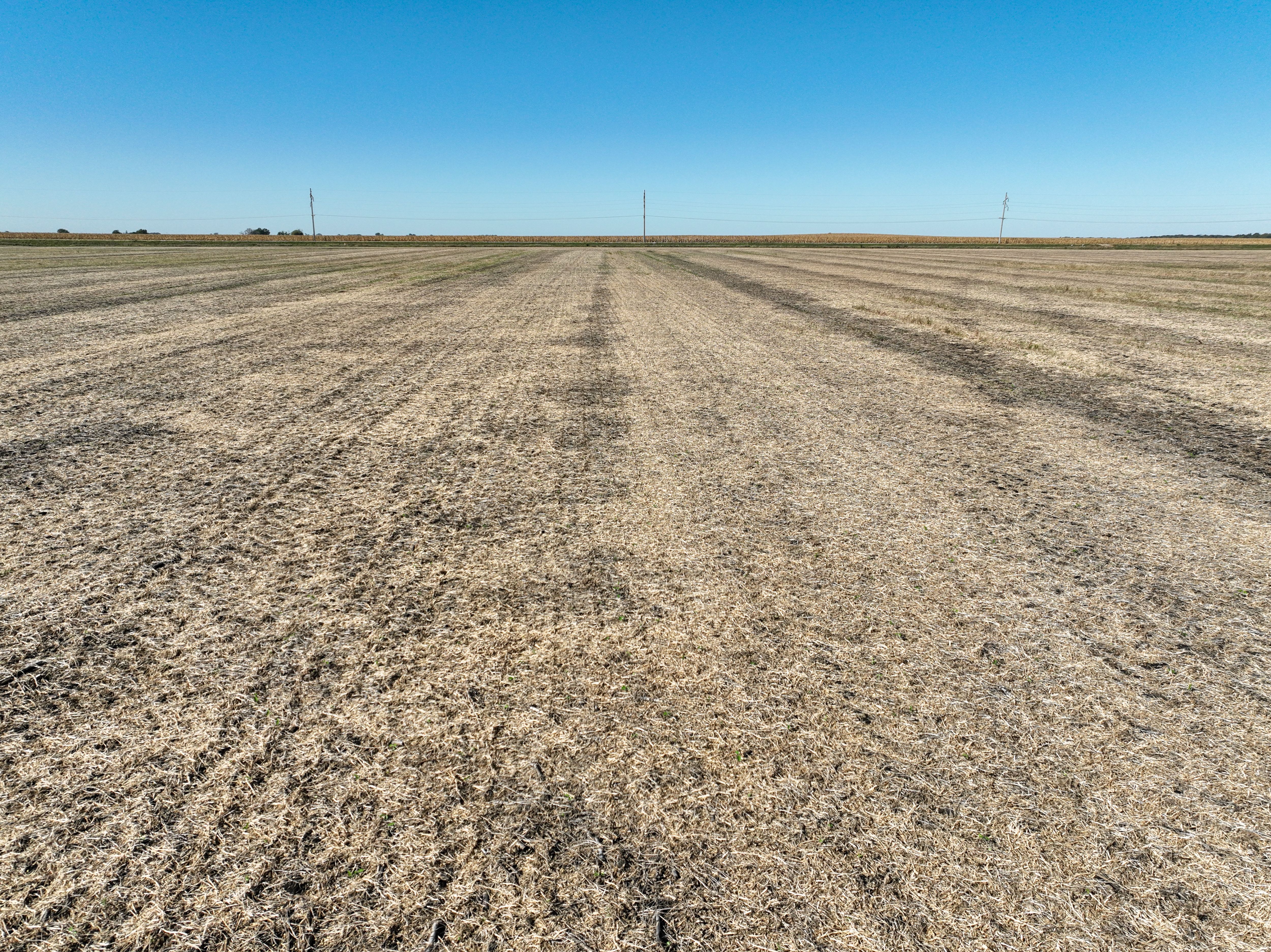 Listing Photo: DJI_0835