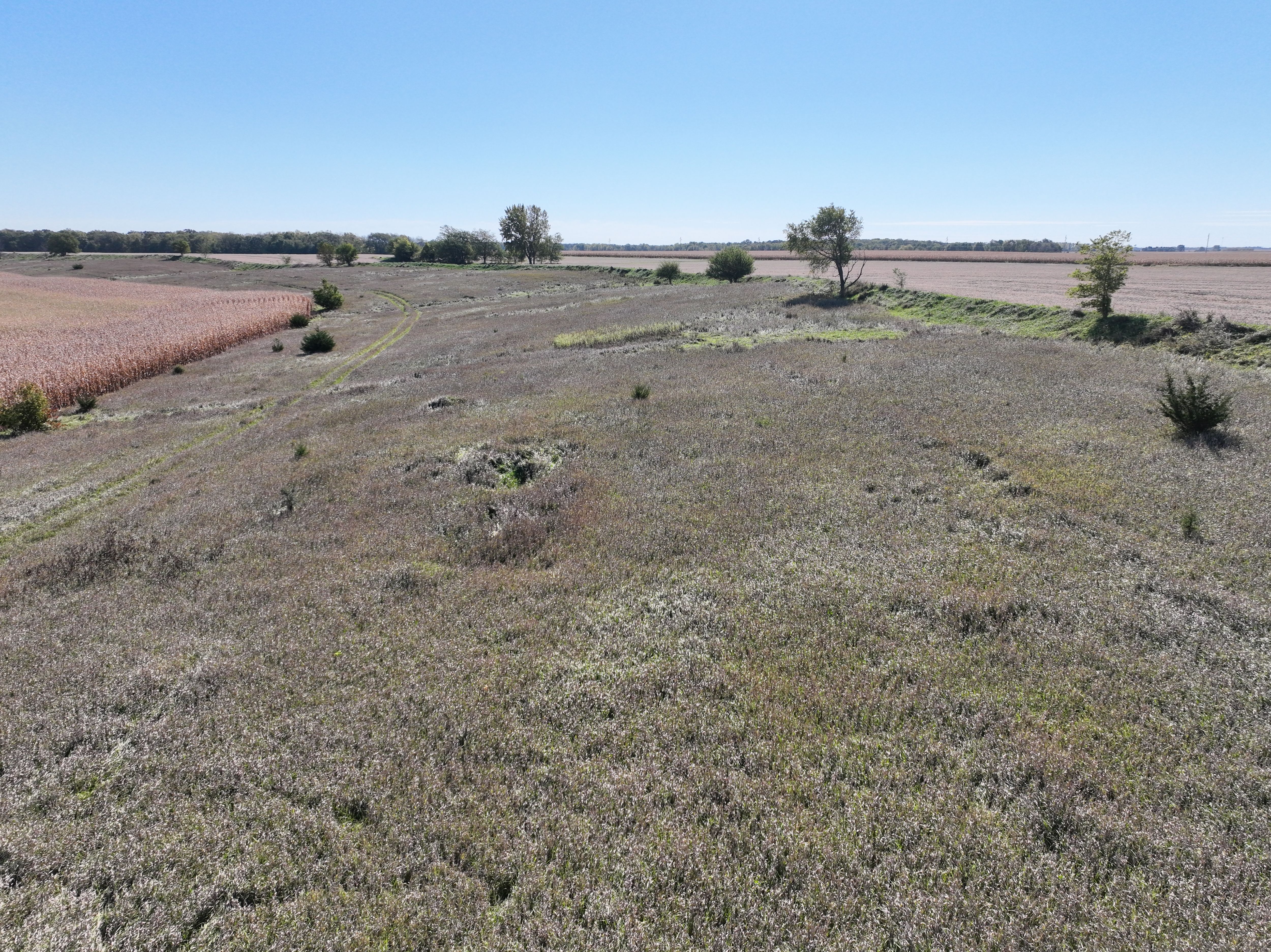 Listing Photo: DJI_0837