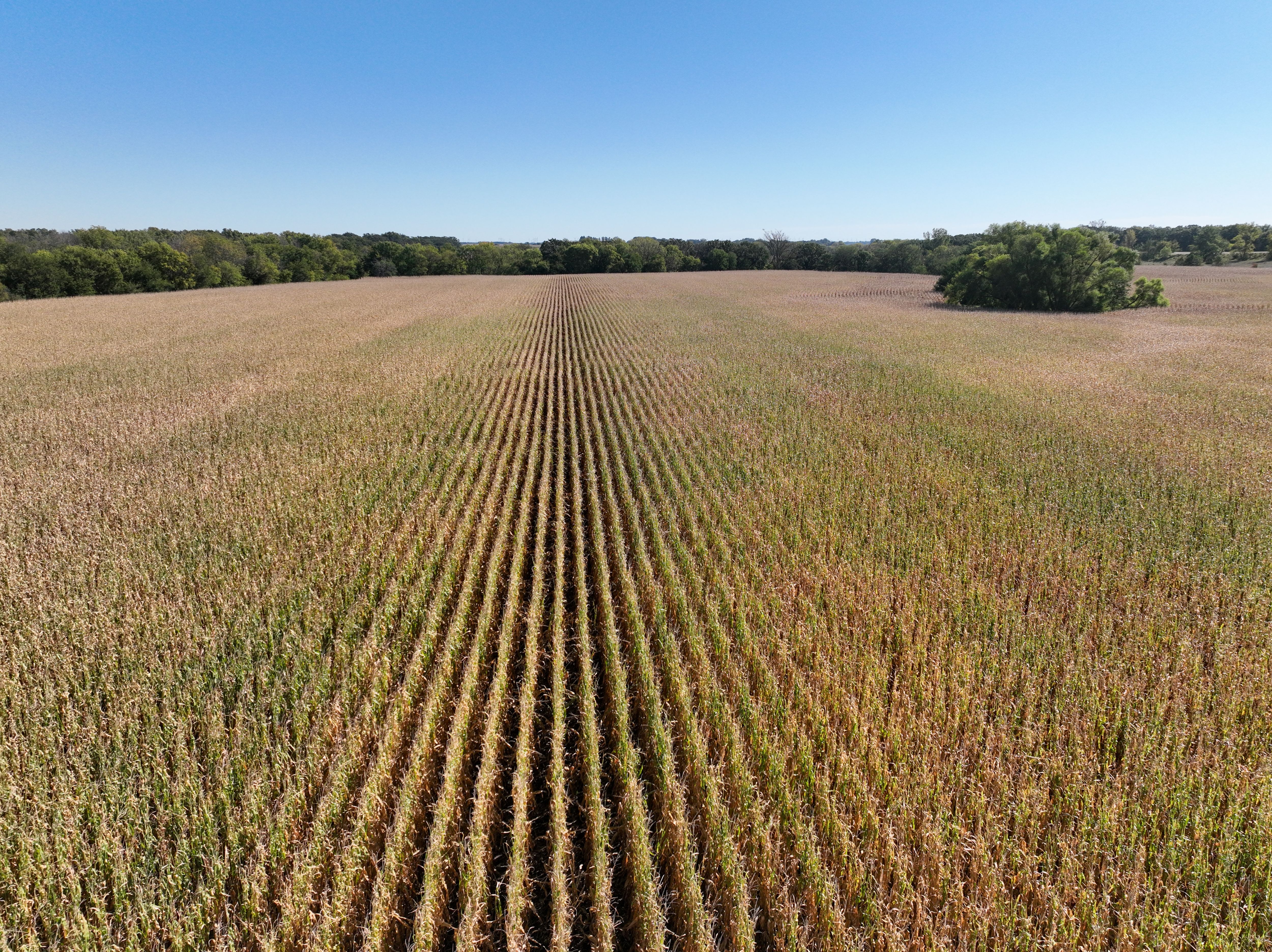 Listing Photo: DJI_0842