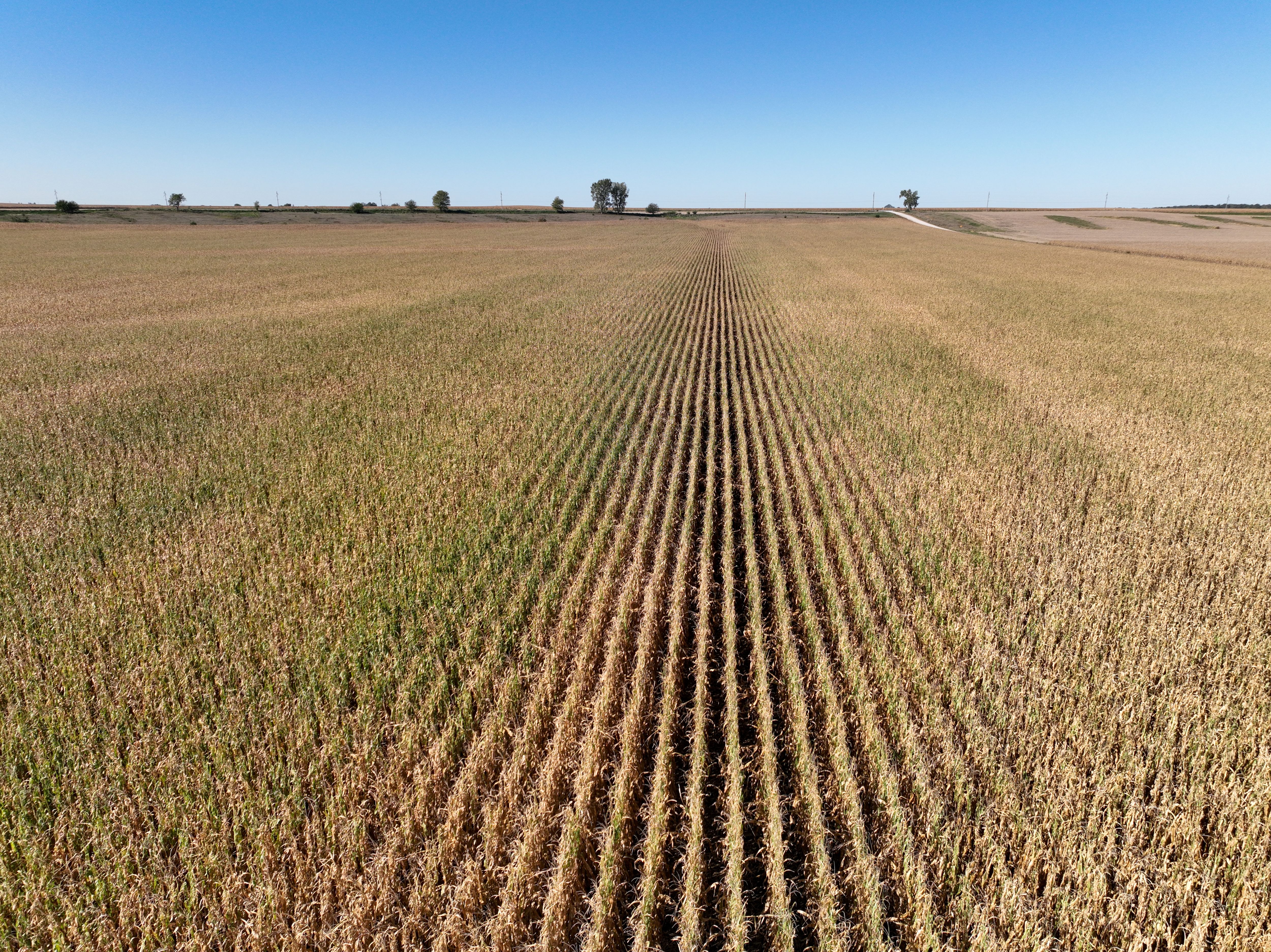 Listing Photo: DJI_0846