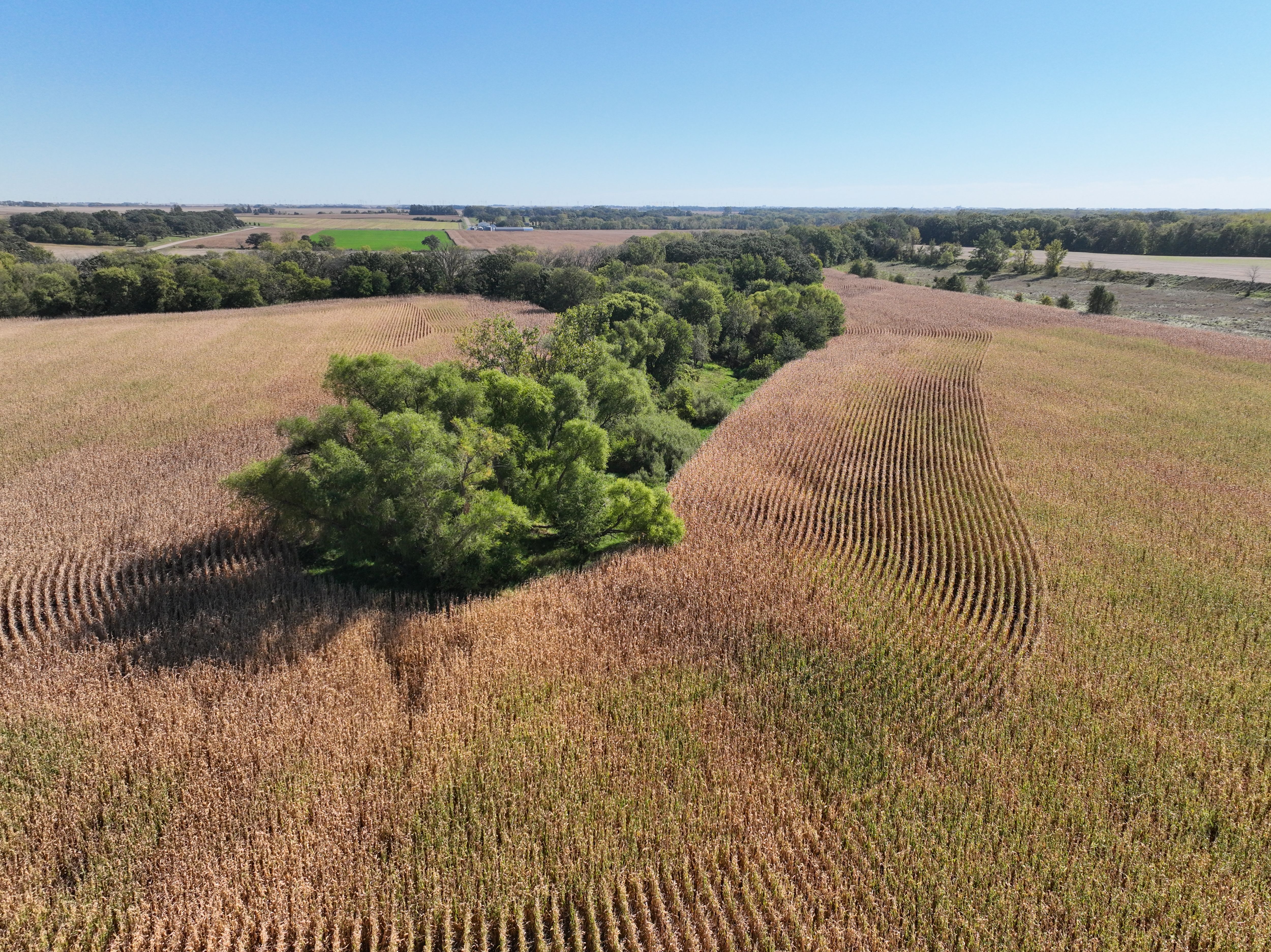 Listing Photo: DJI_0850