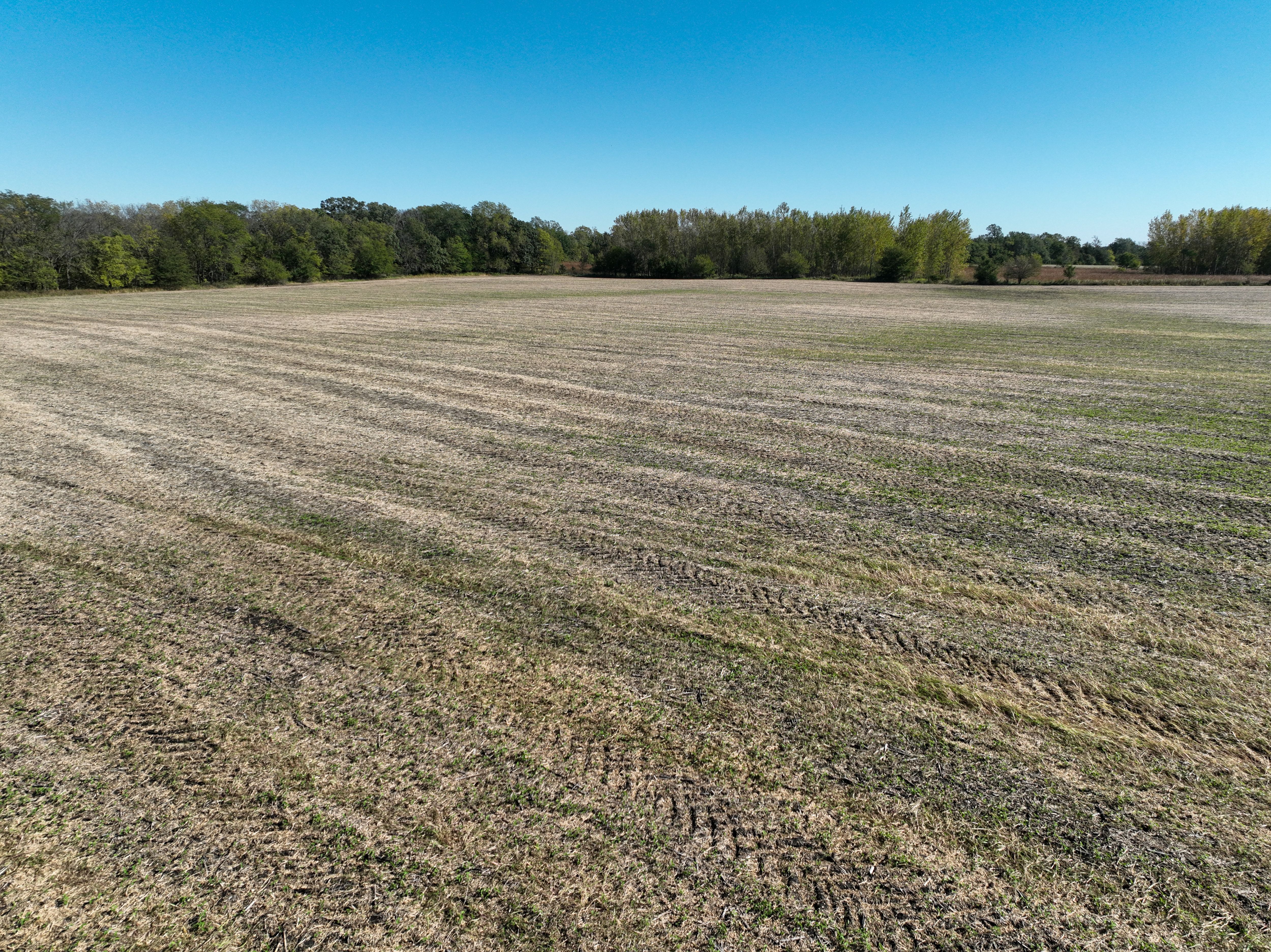 Listing Photo: DJI_0868