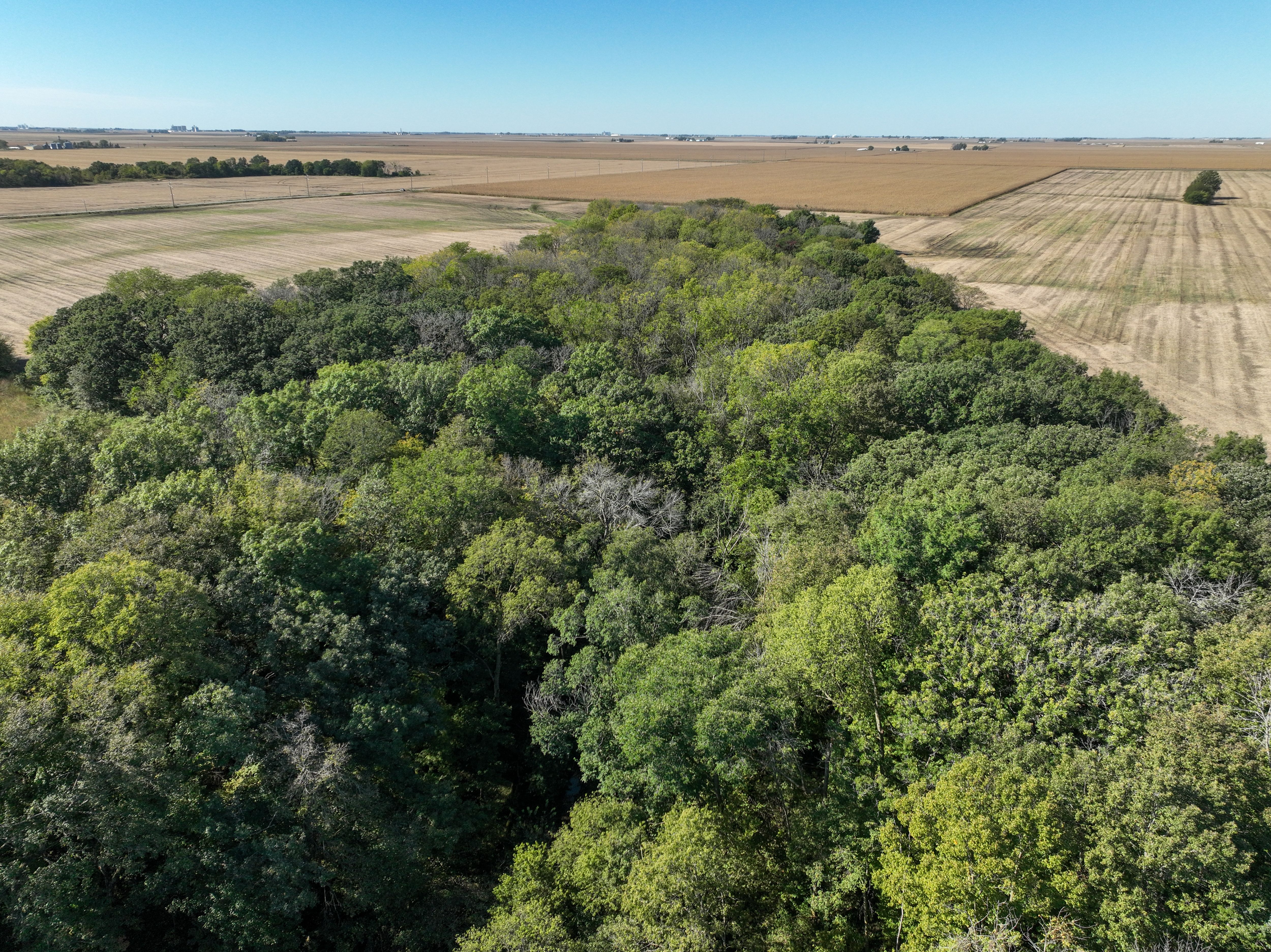 Listing Photo: DJI_0870