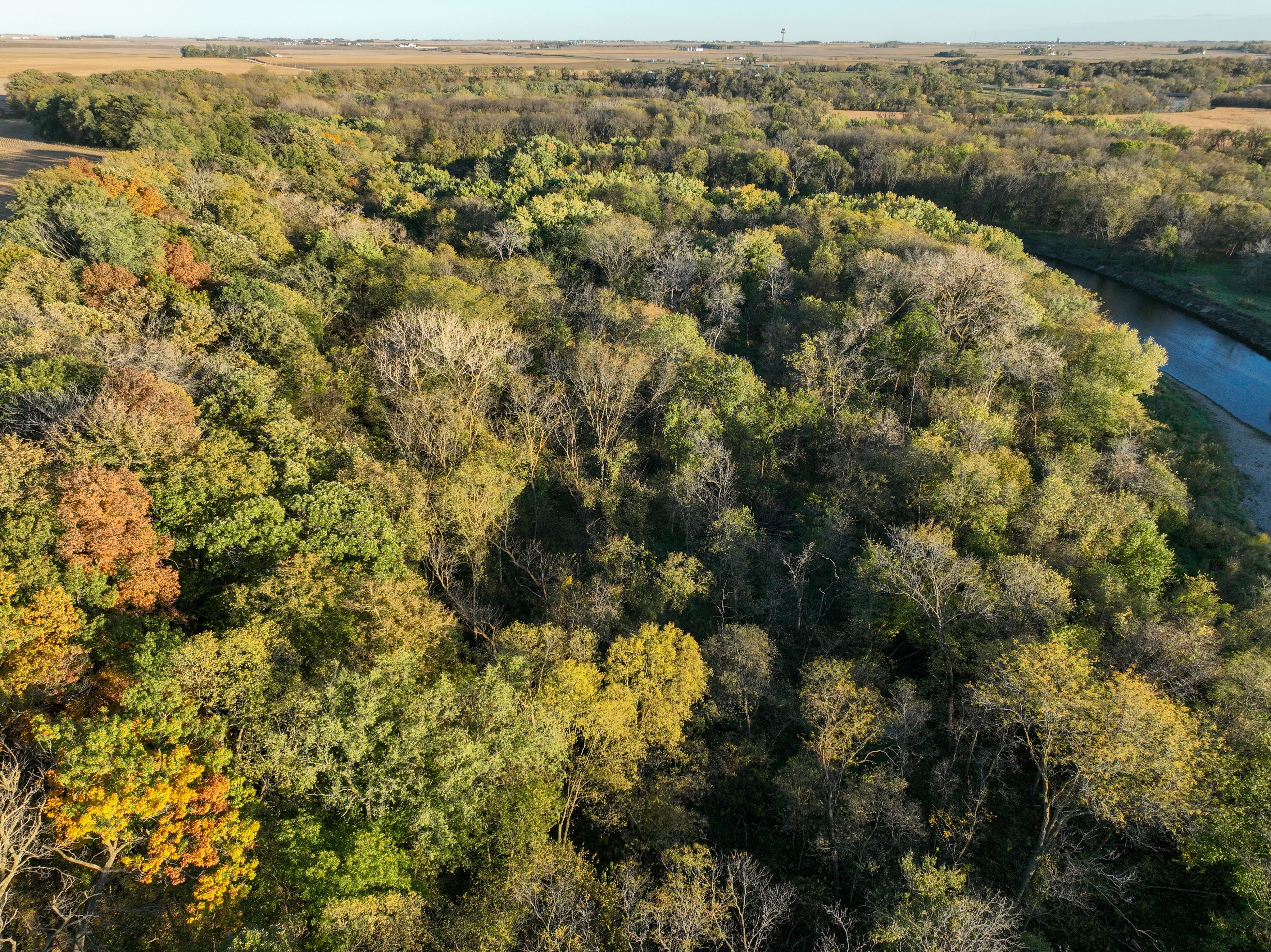 Listing Photo: DJI_0095