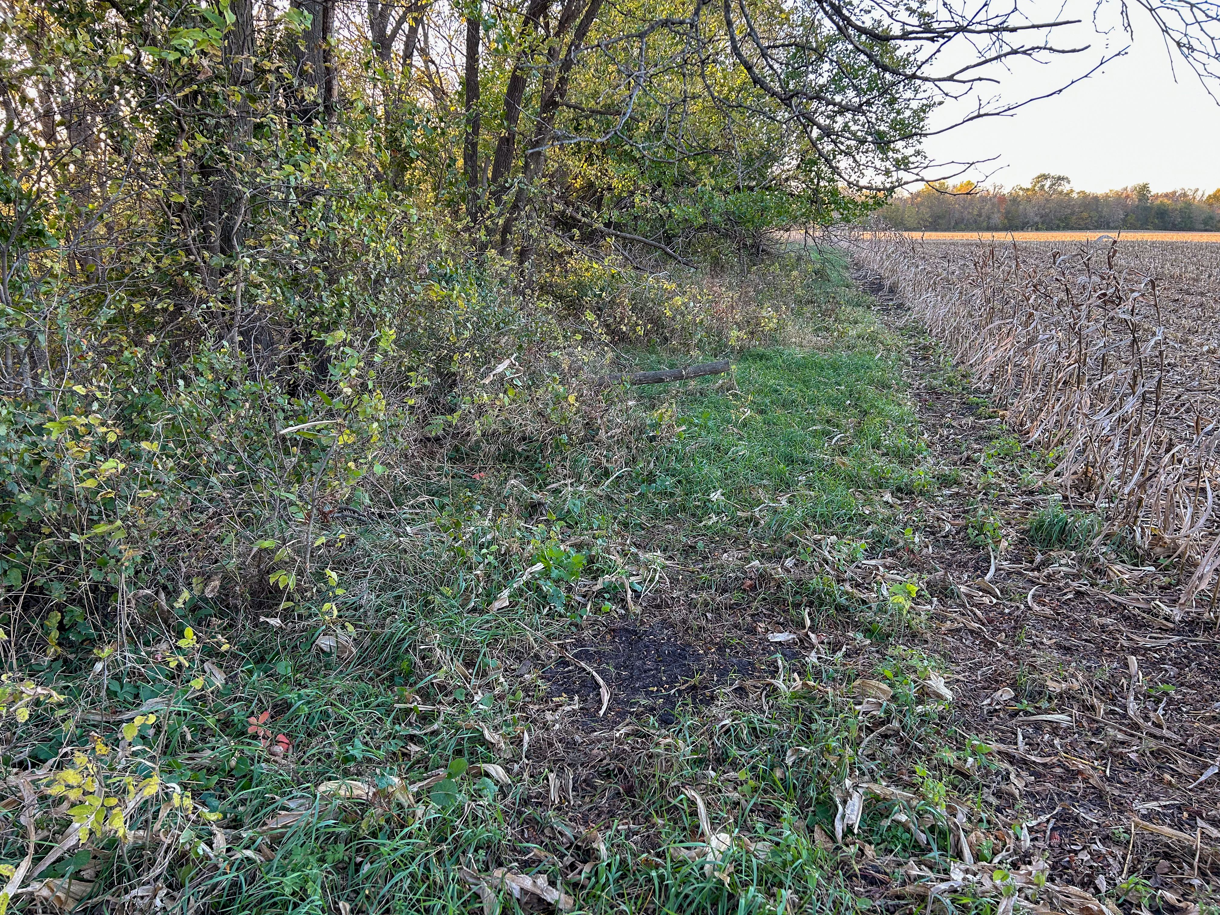 Listing Photo: IMG_3144