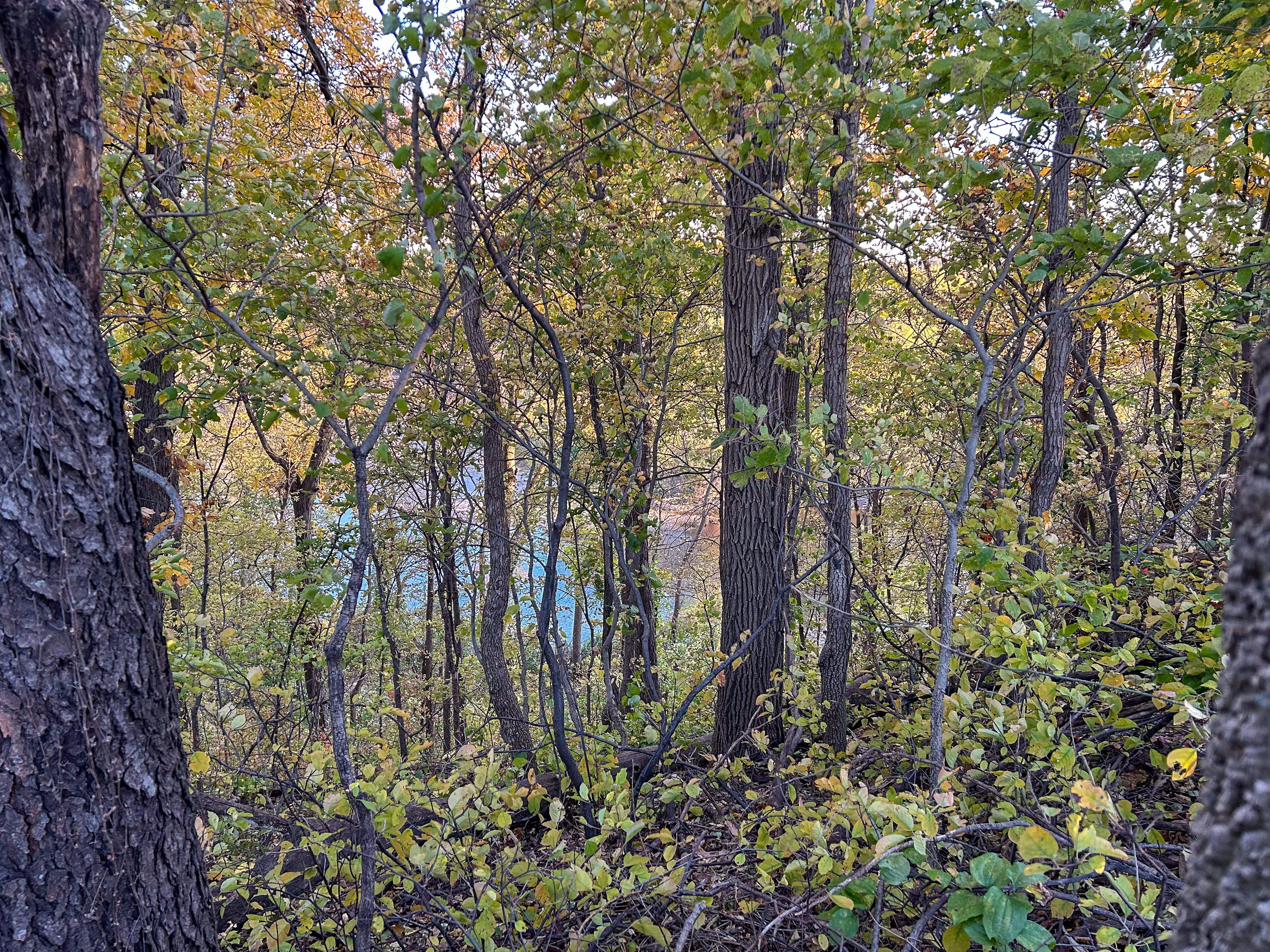 Listing Photo: IMG_3151