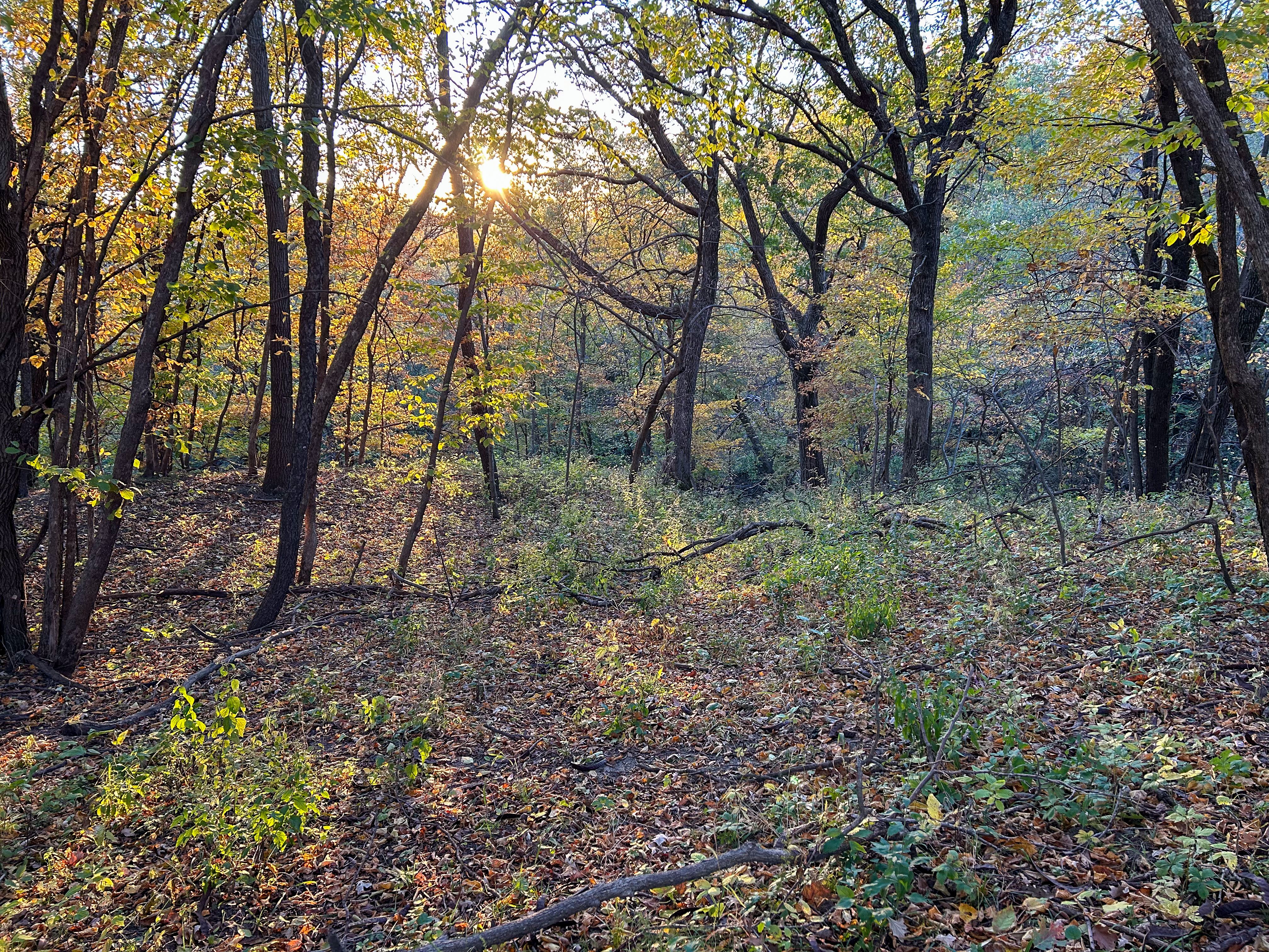 Listing Photo: IMG_3157