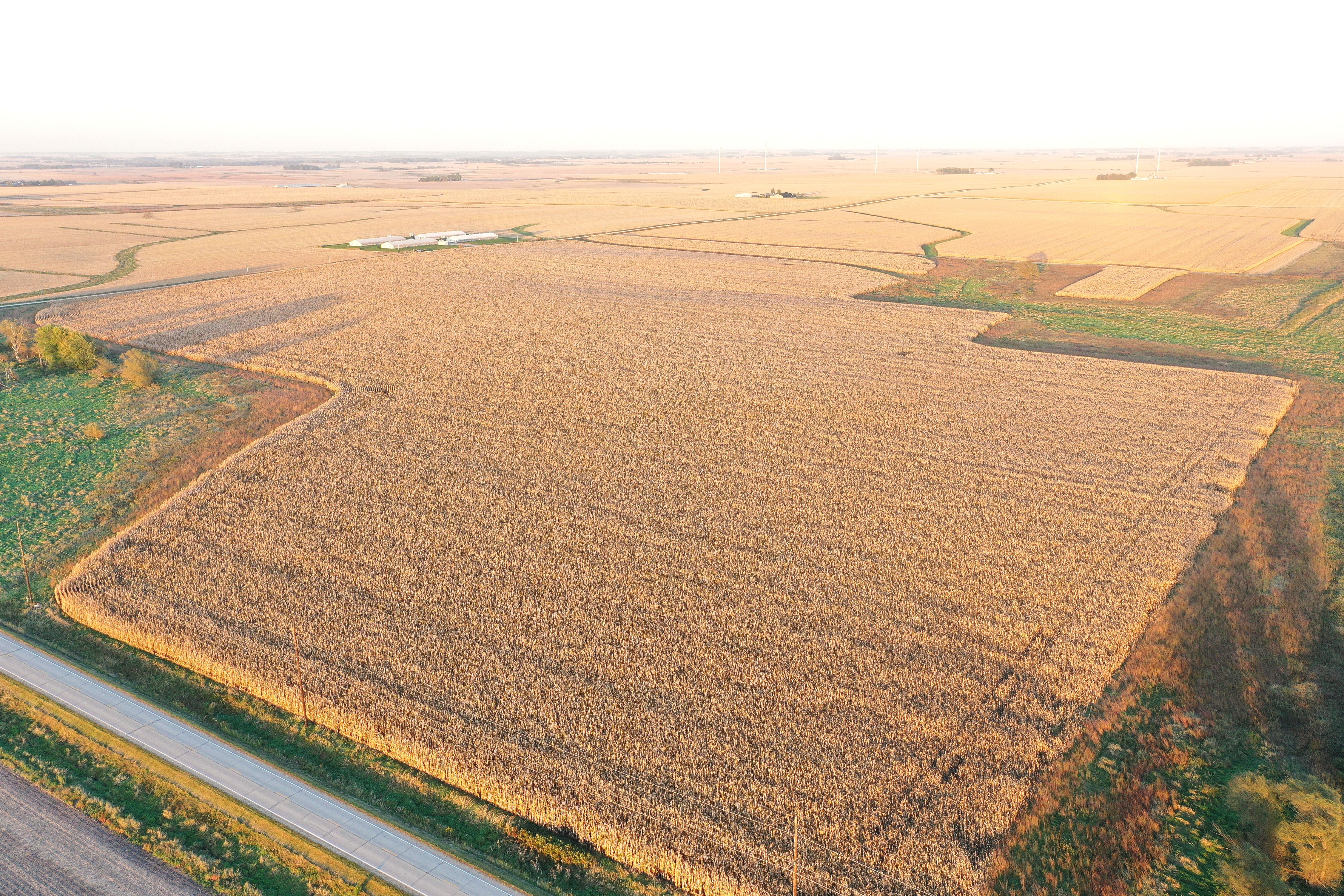 Listing Photo: DJI_0551