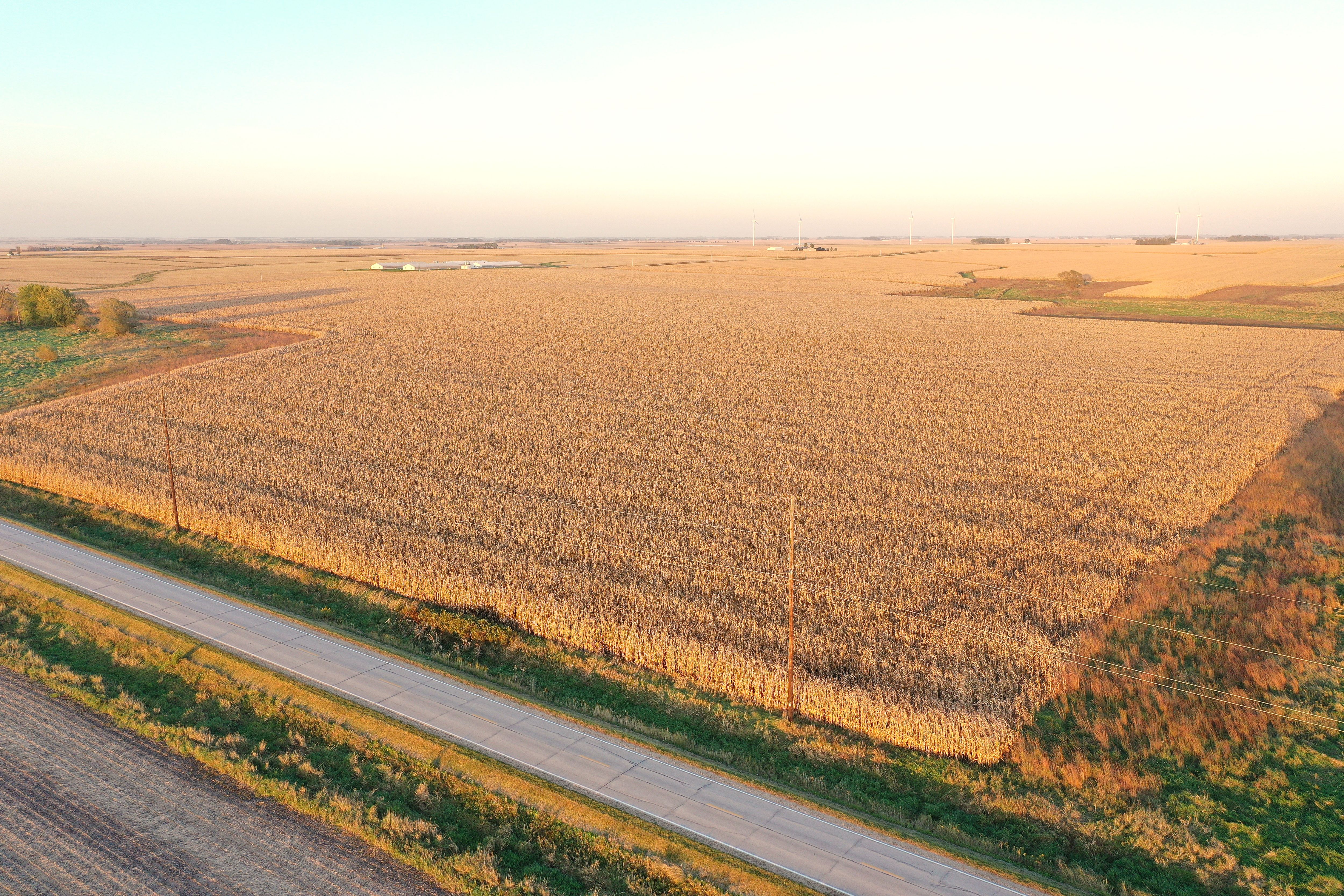 Listing Photo: DJI_0552