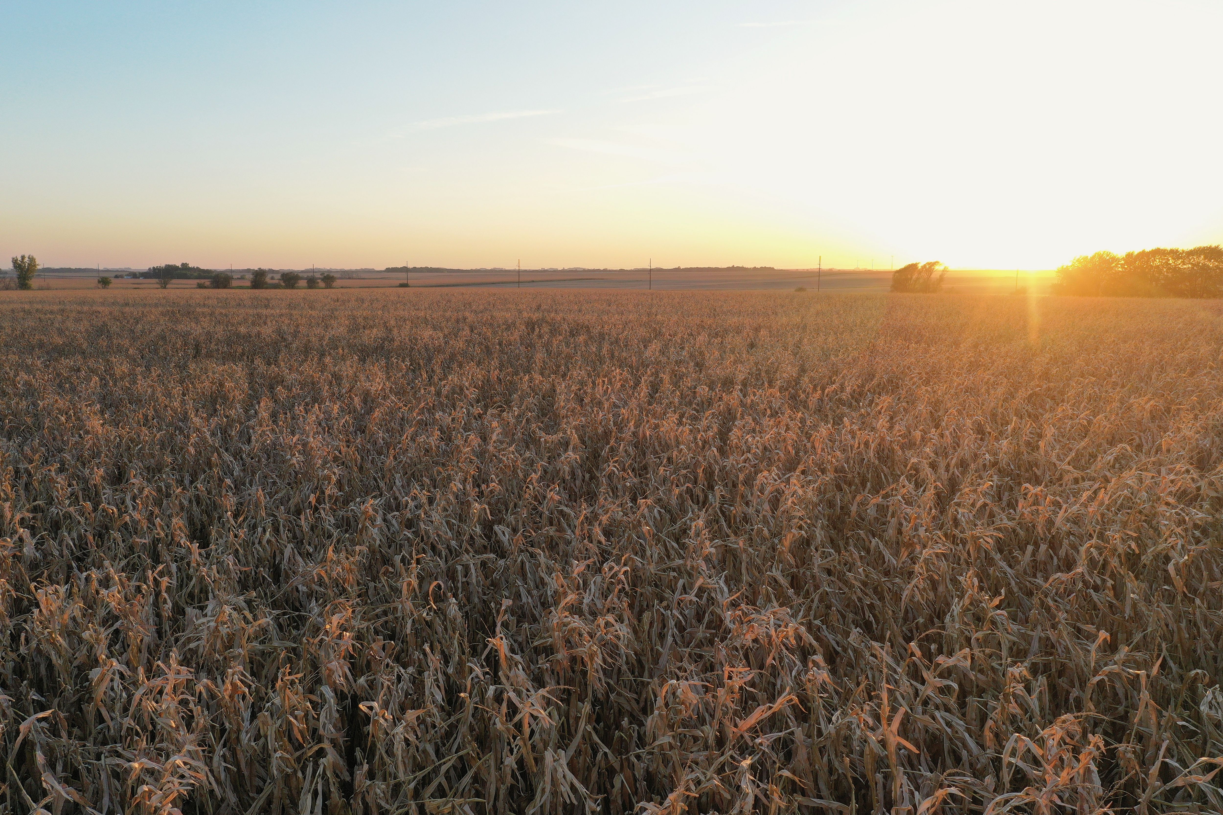 Listing Photo: DJI_0560