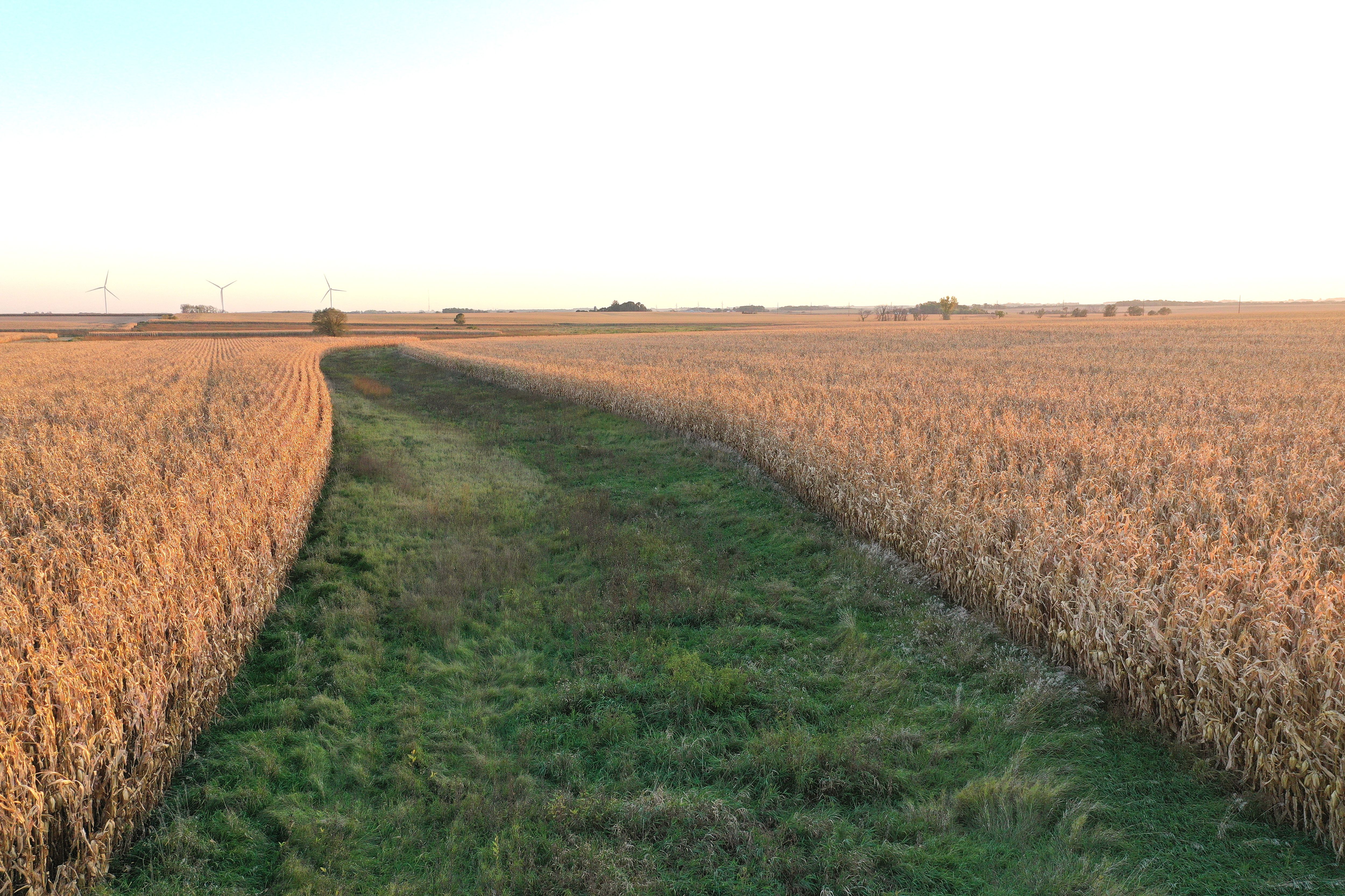 Listing Photo: DJI_0562