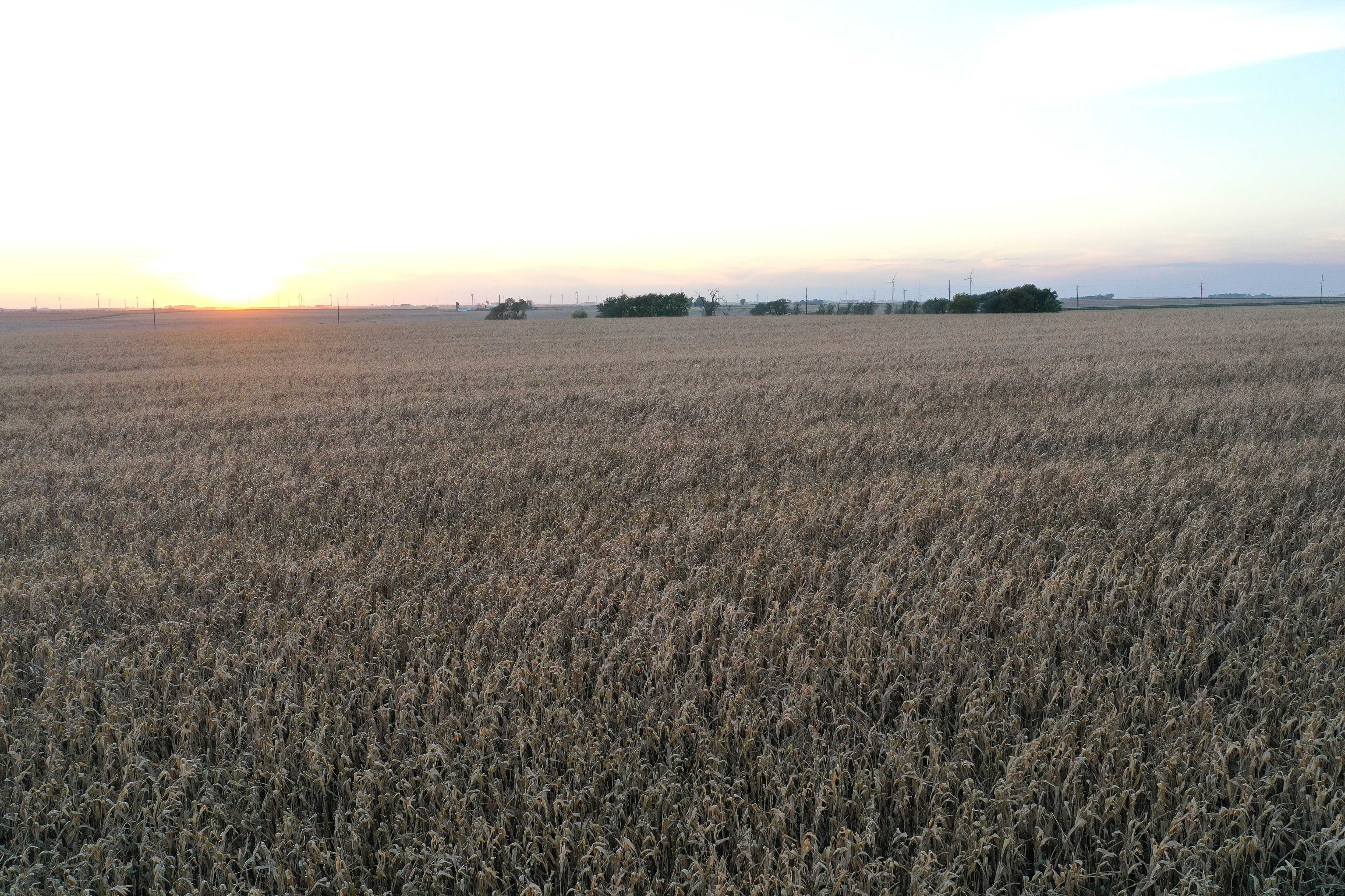 Listing Photo: DJI_0591