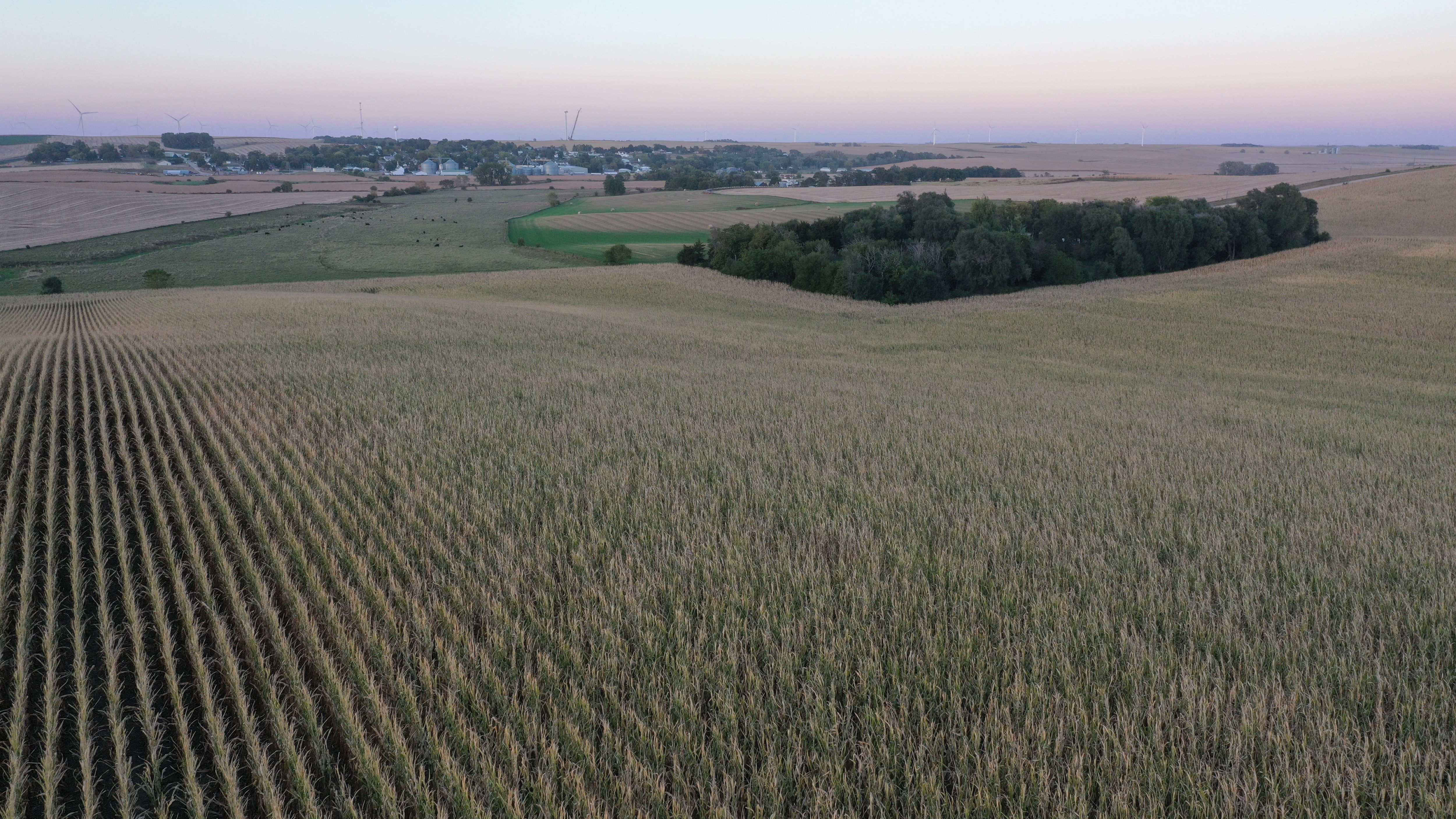 Listing Photo: Froeluch-Hubble Farm