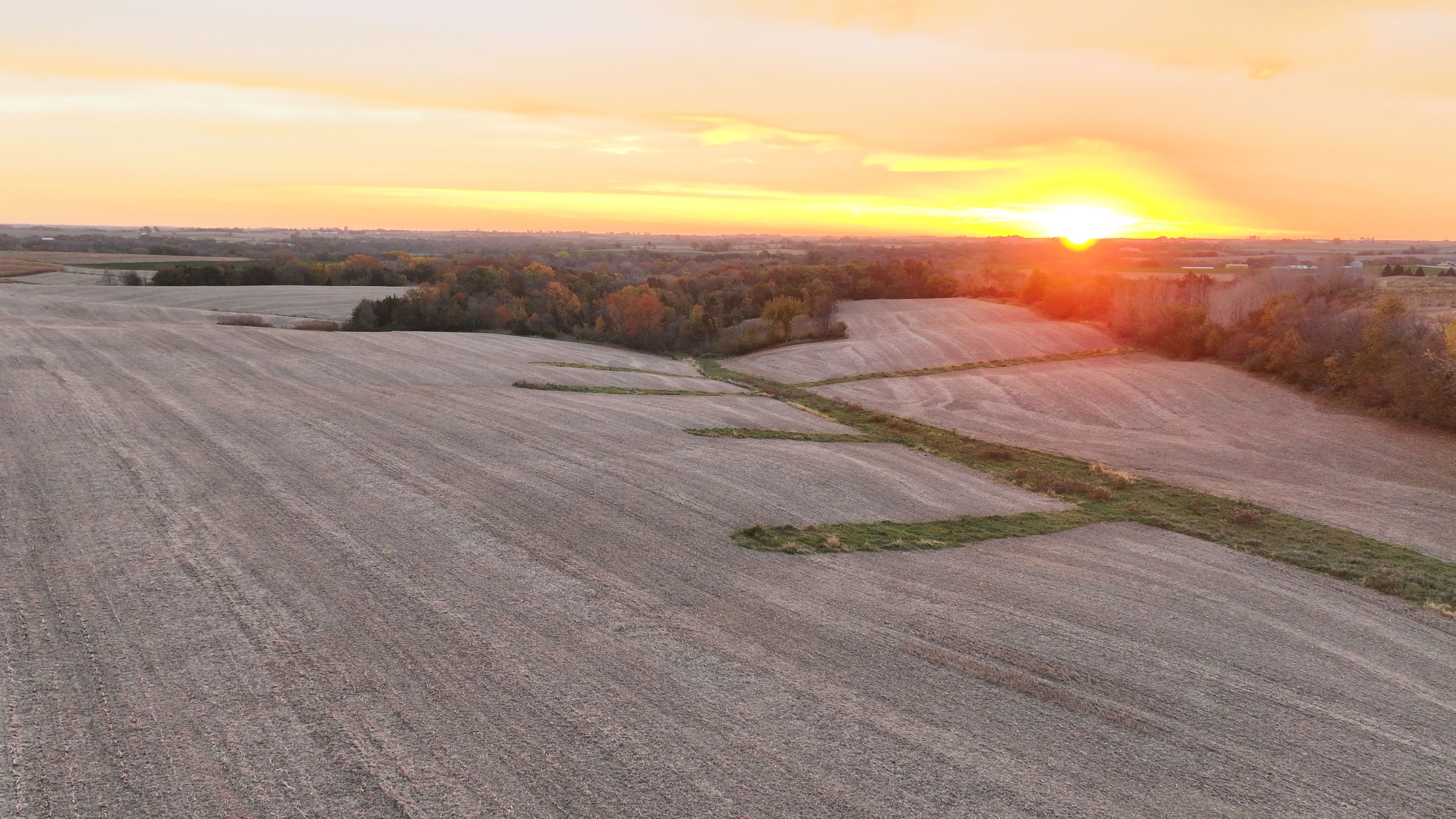 Listing Photo: DJI_20251028073355_0166_D