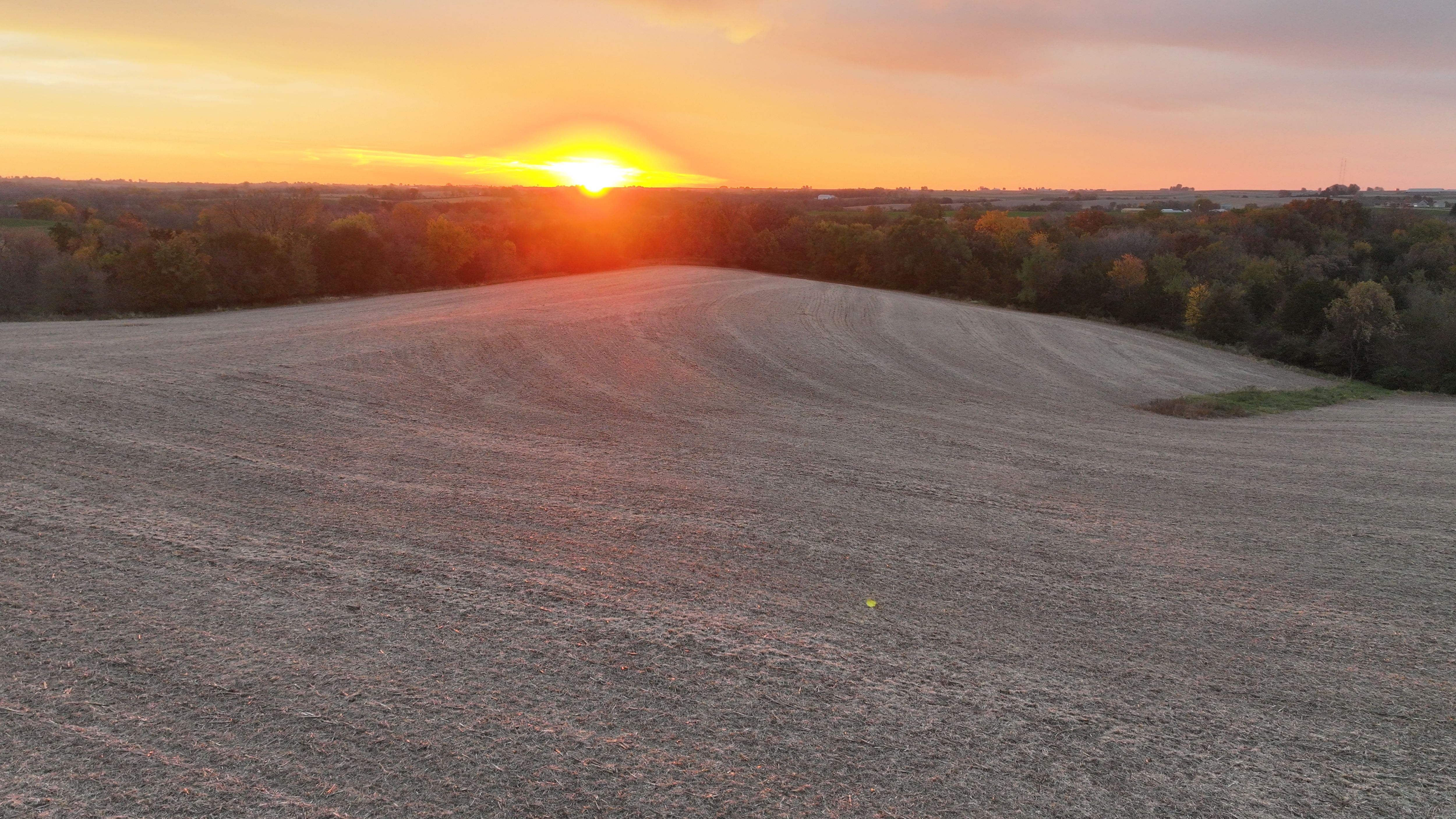 Listing Photo: DJI_20251028073503_0169_D