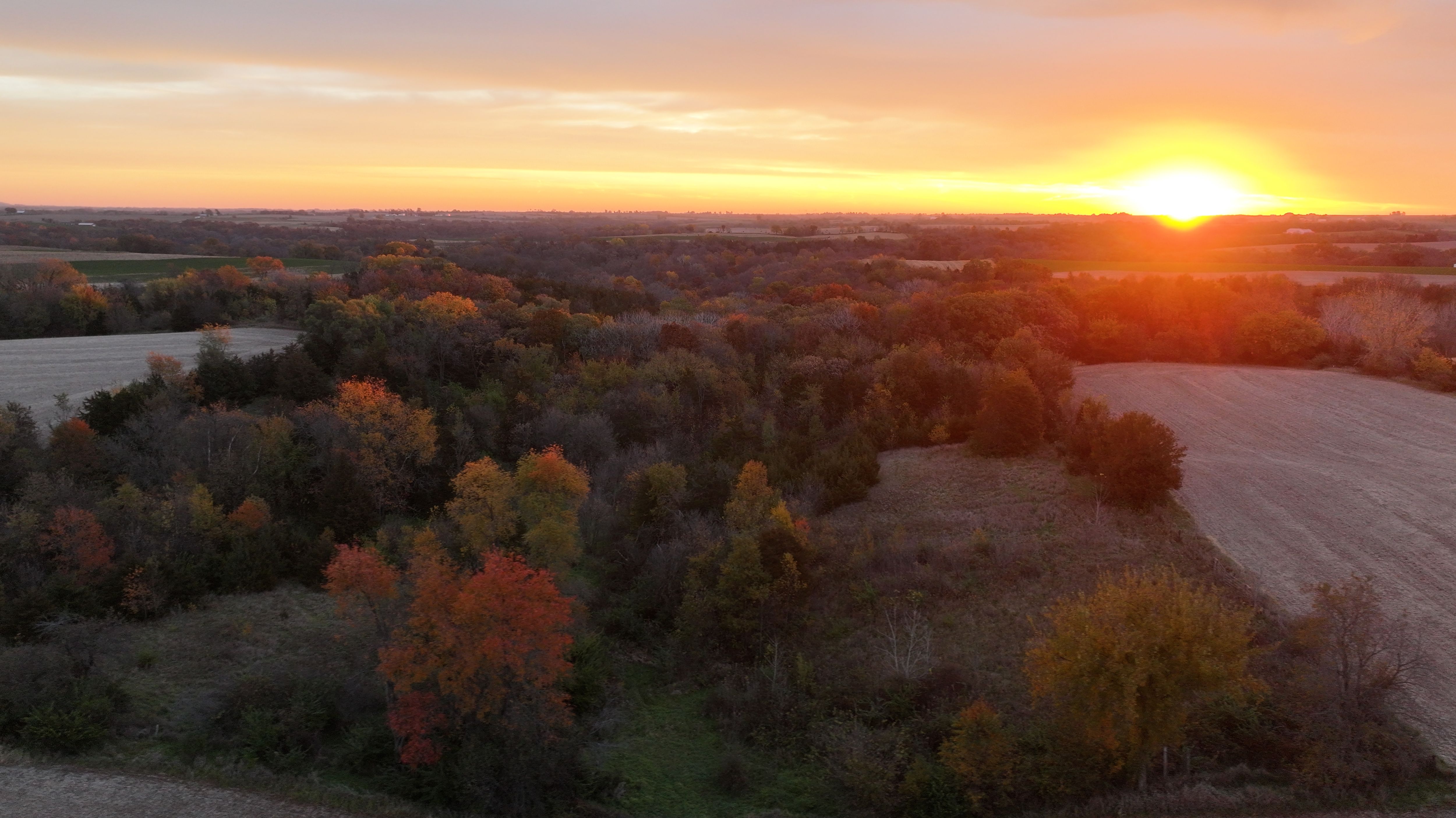 Listing Photo: DJI_20251028073543_0173_D