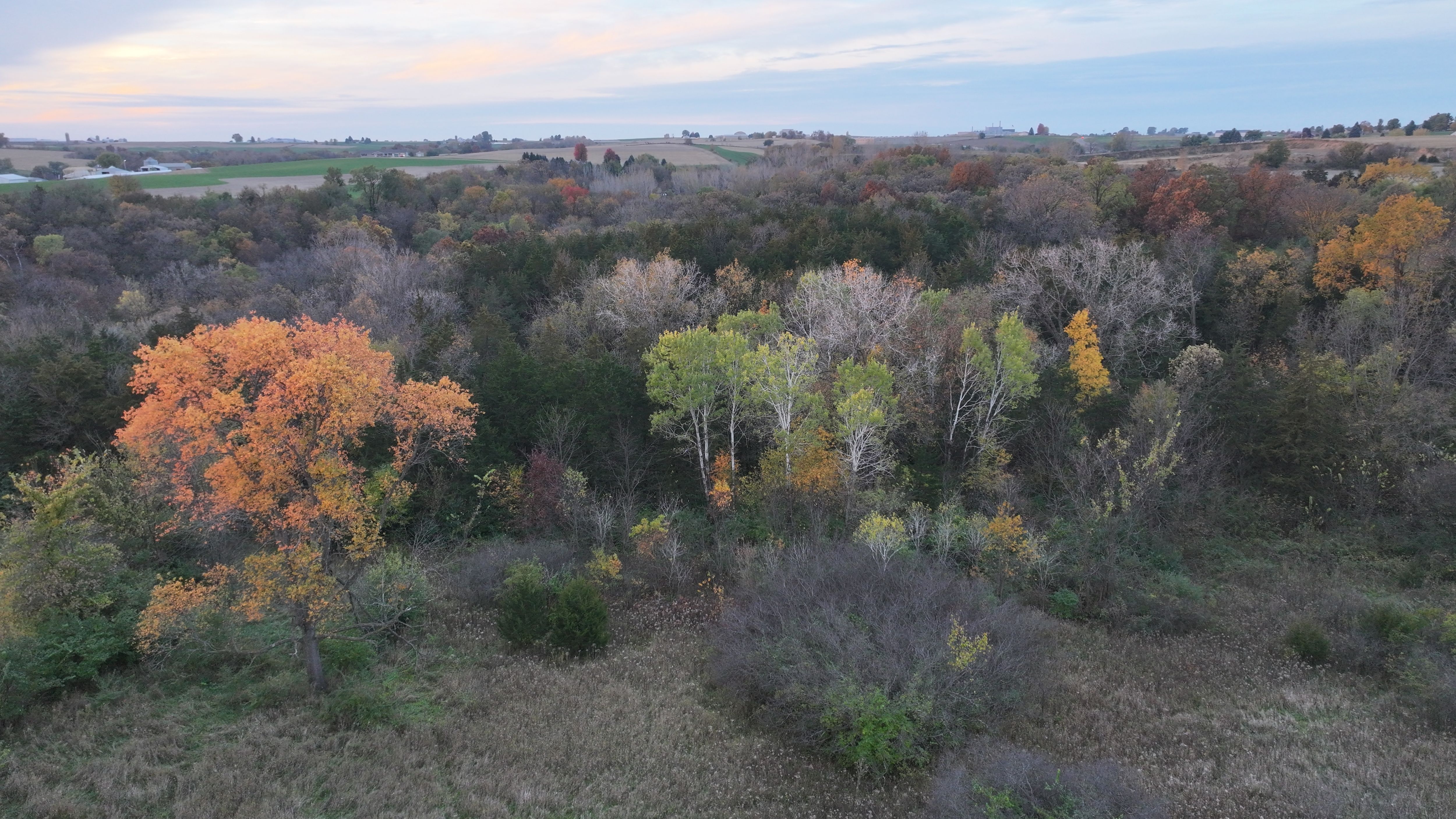 Listing Photo: DJI_20251028074025_0189_D