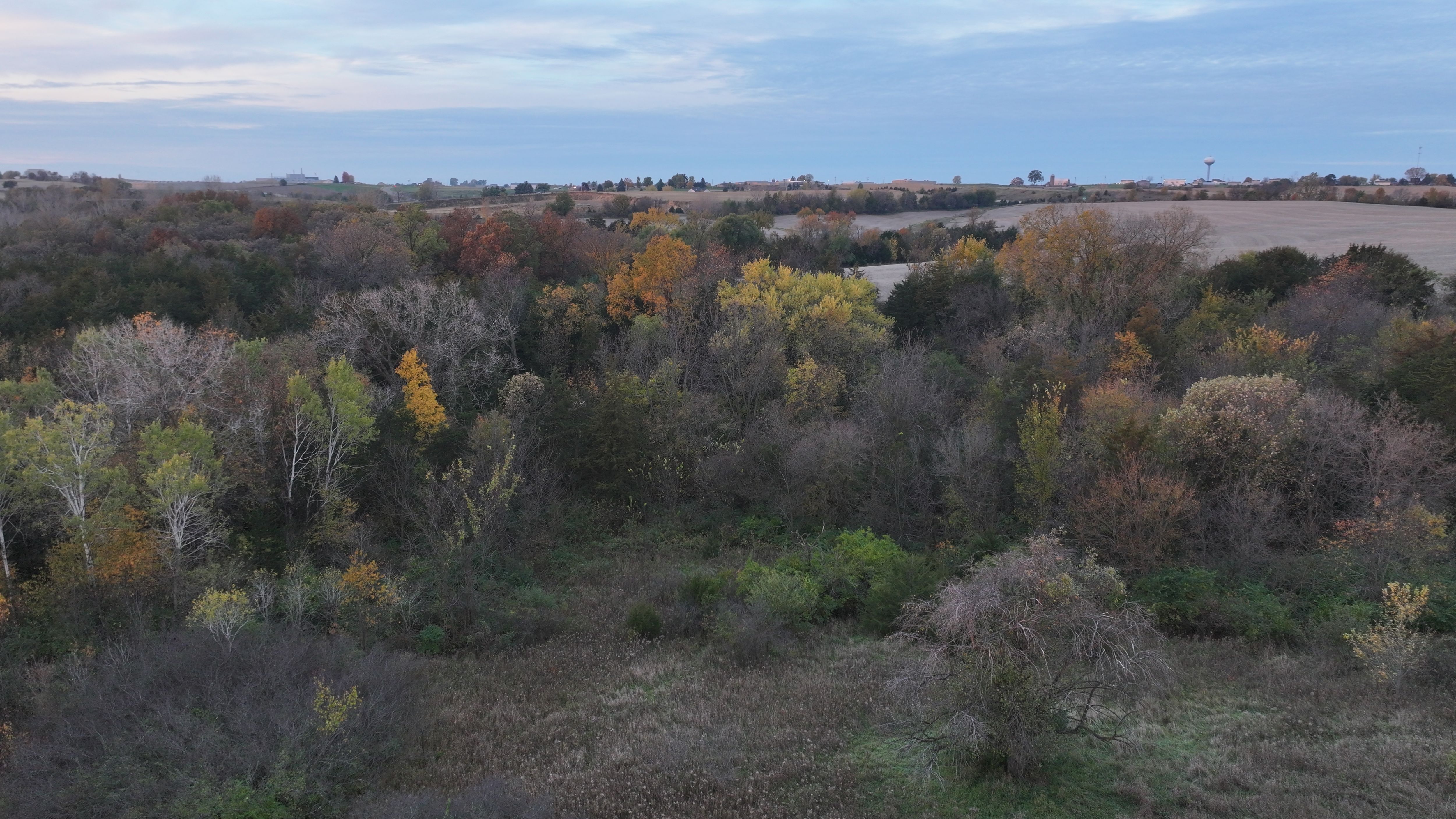 Listing Photo: DJI_20251028074029_0190_D