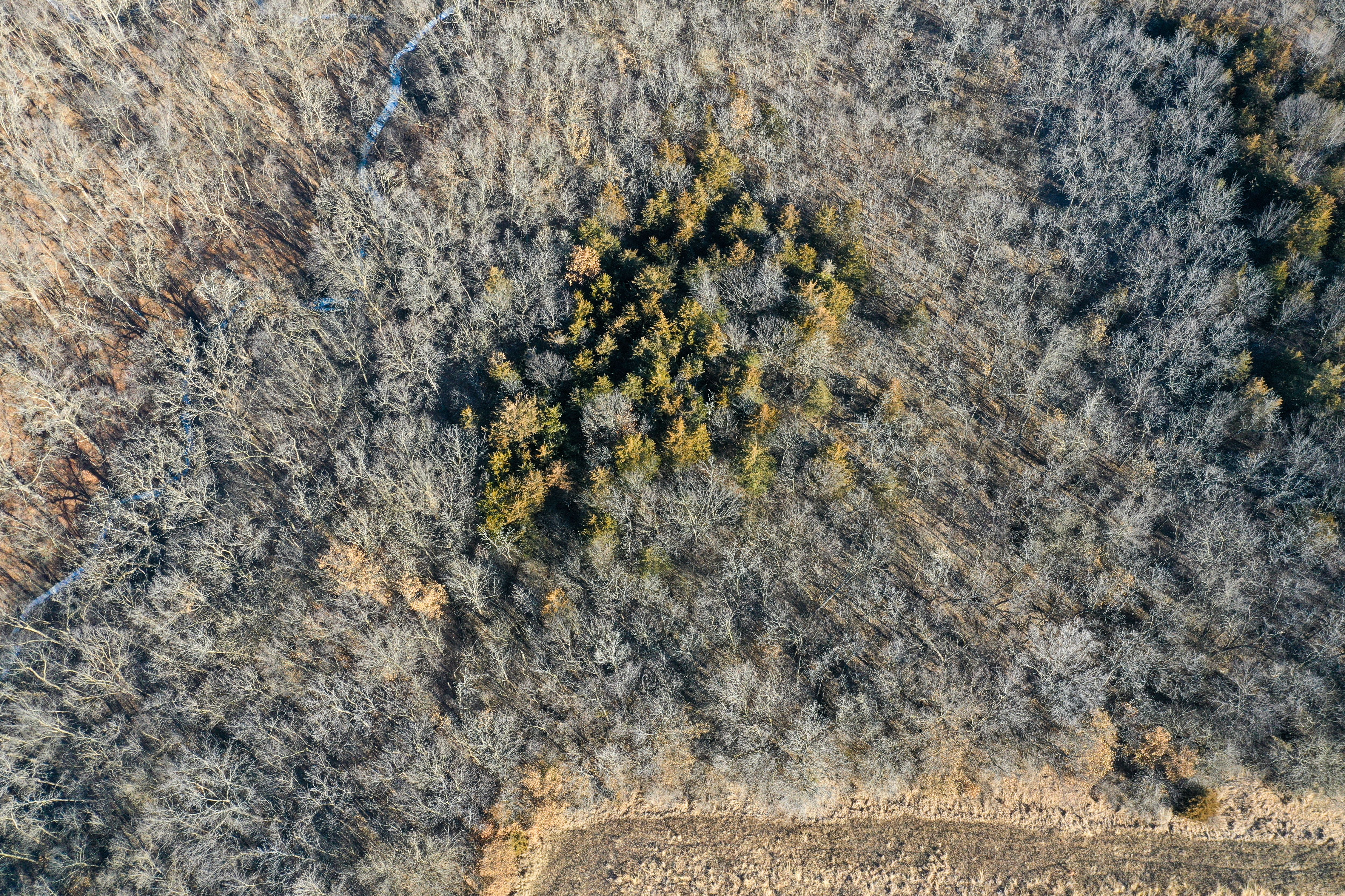 Listing Photo: 18135-DJI_0289