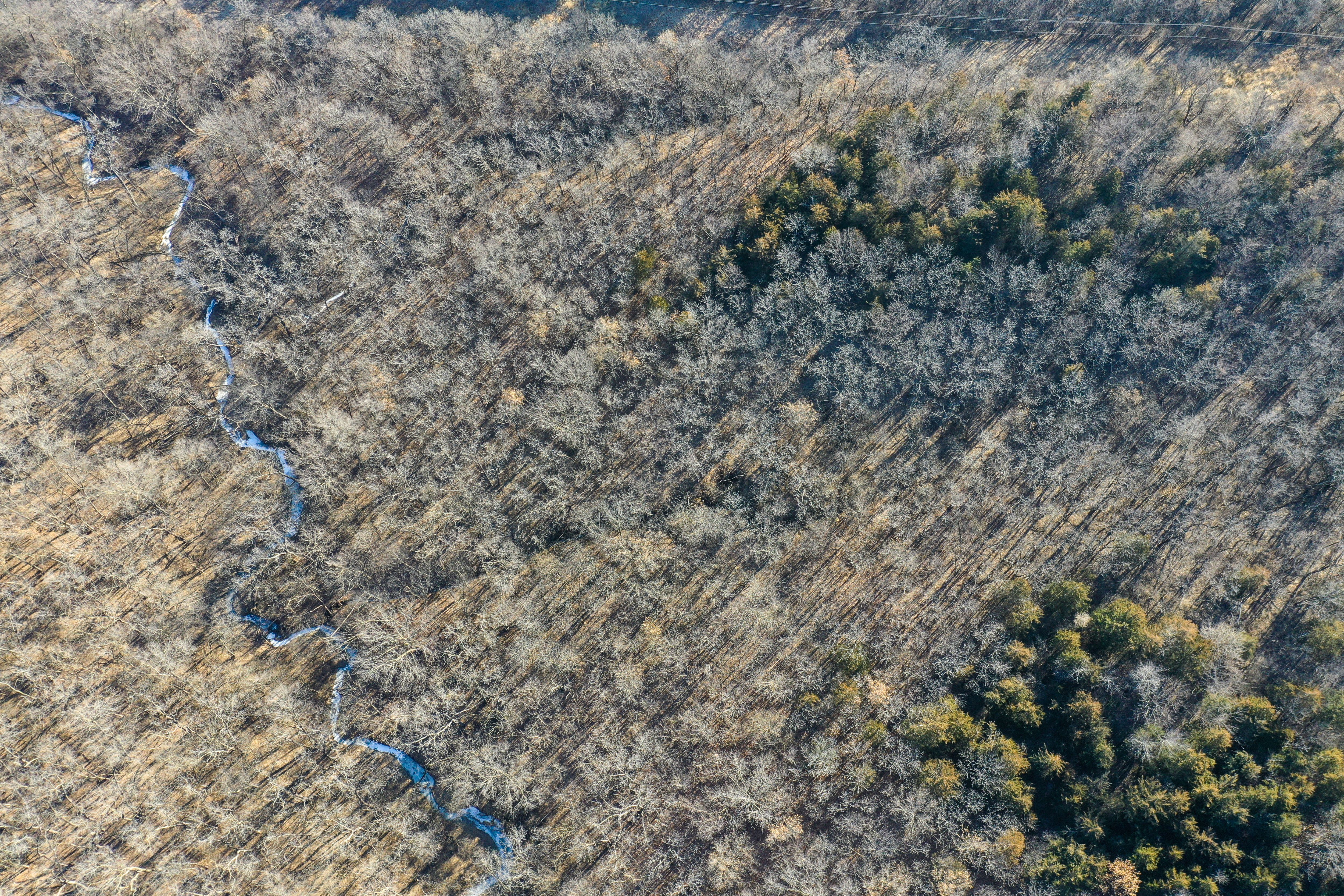 Listing Photo: 18135-DJI_0291