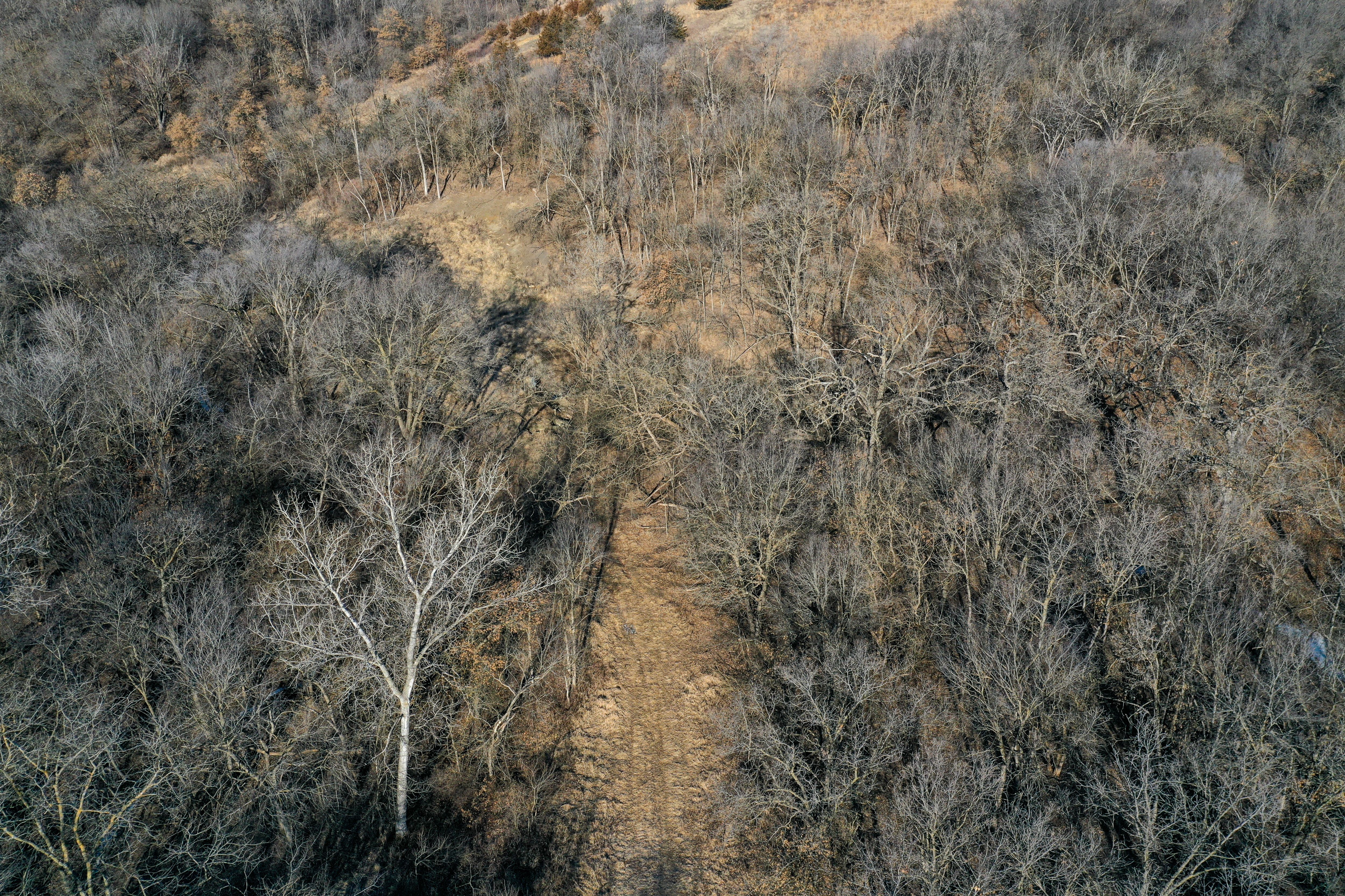 Listing Photo: 18135-DJI_0355