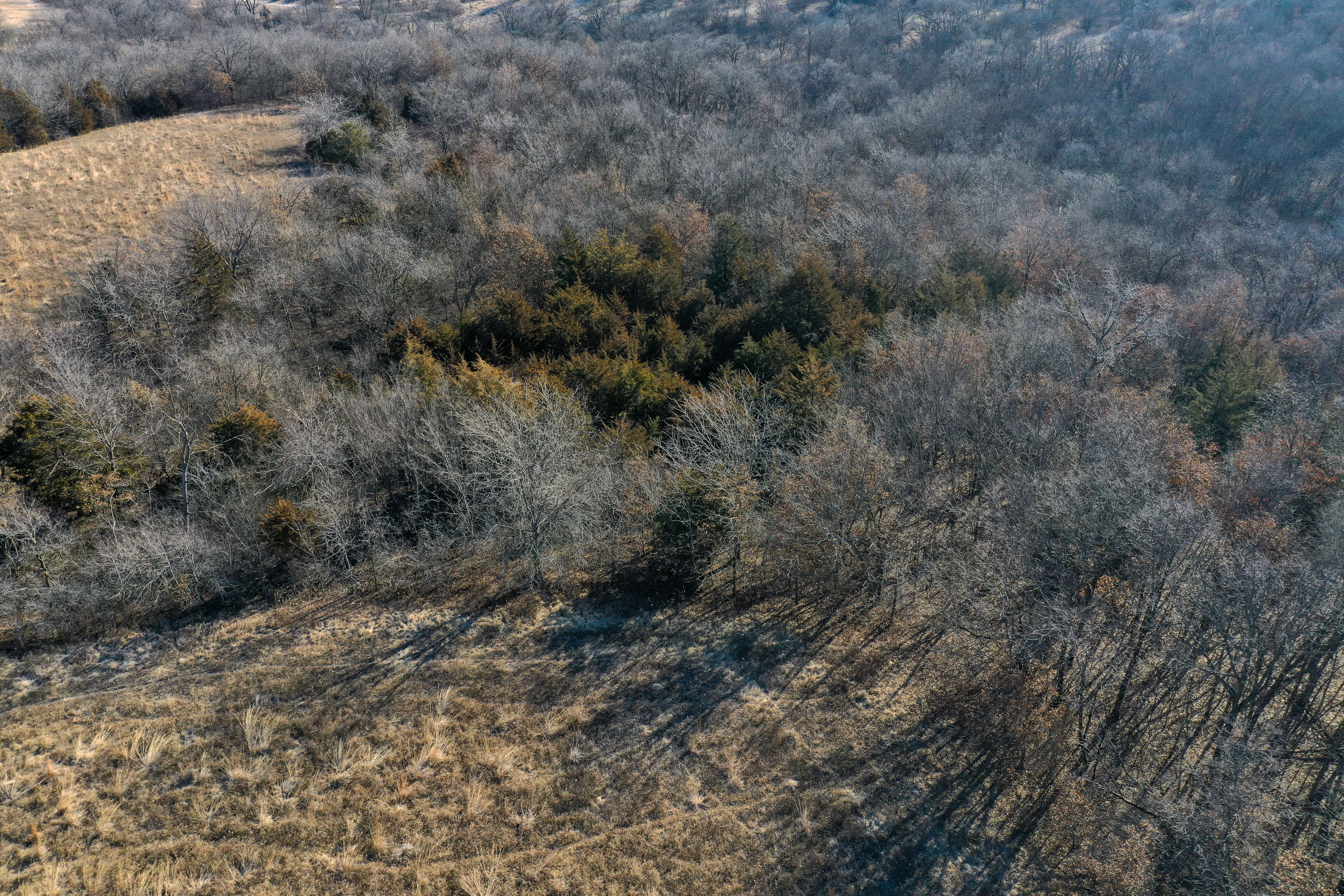 Listing Photo: 18135-DJI_0359