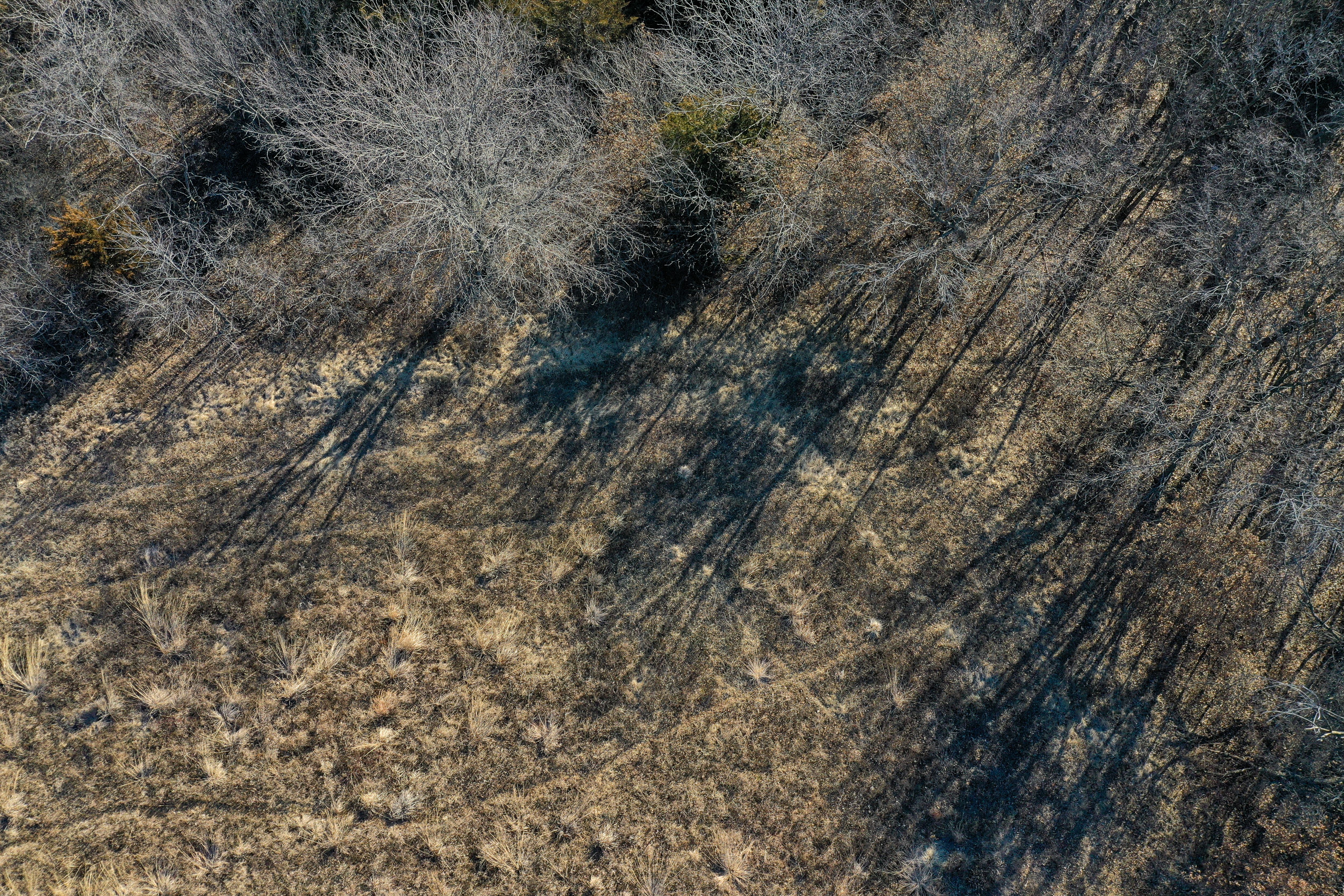 Listing Photo: 18135-DJI_0361