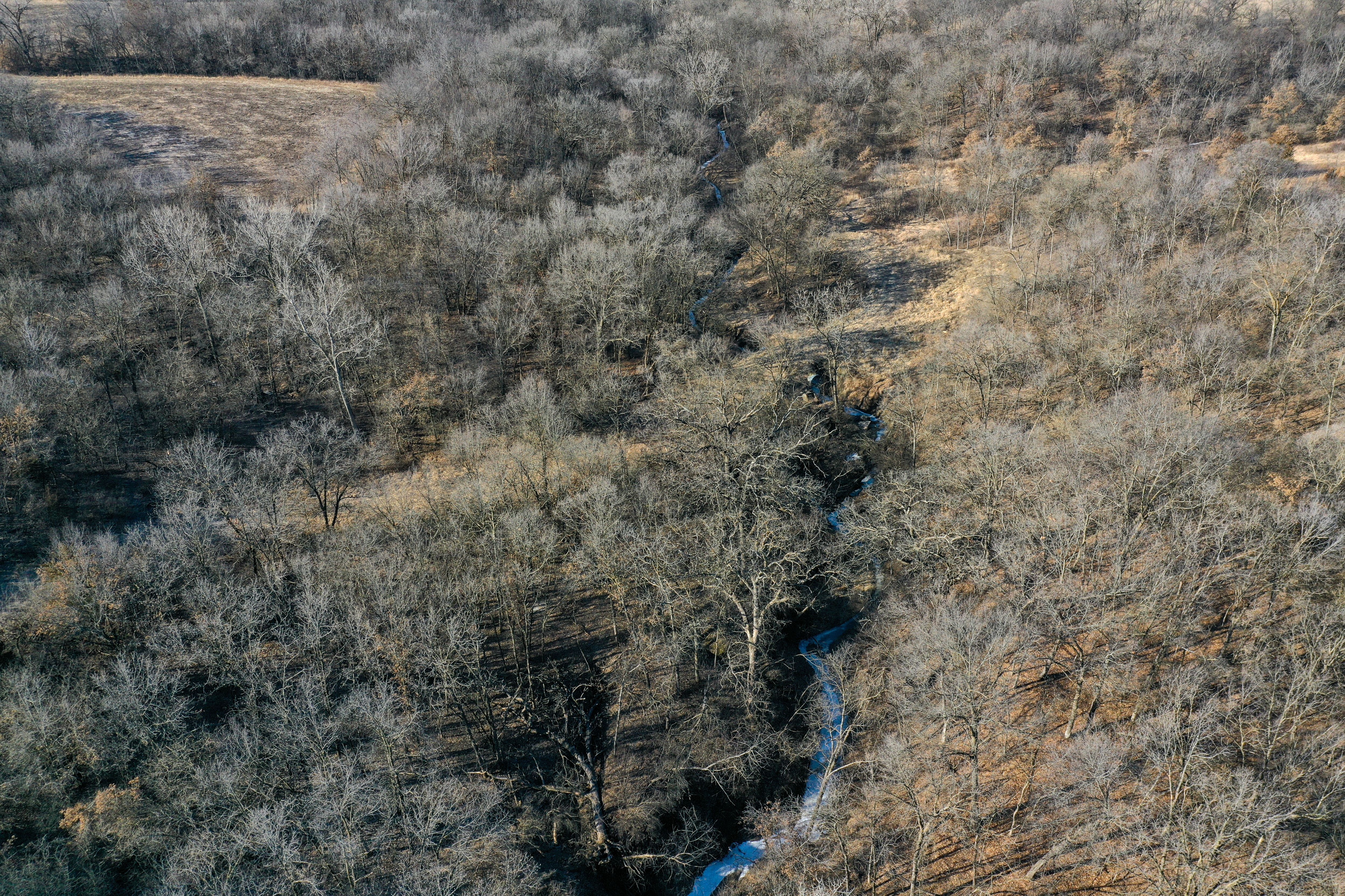 Listing Photo: 18135-DJI_0363