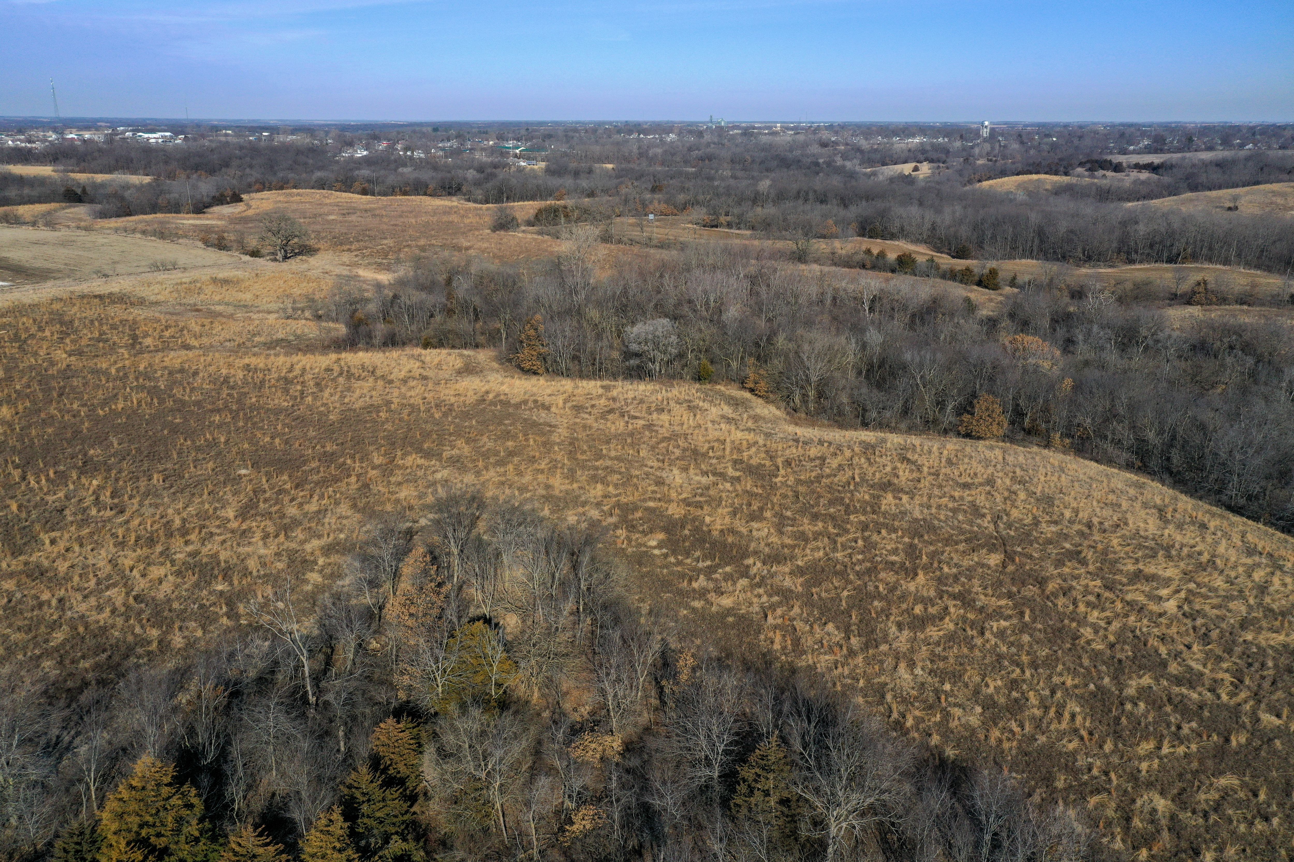 Listing Photo: 18135-DJI_0364