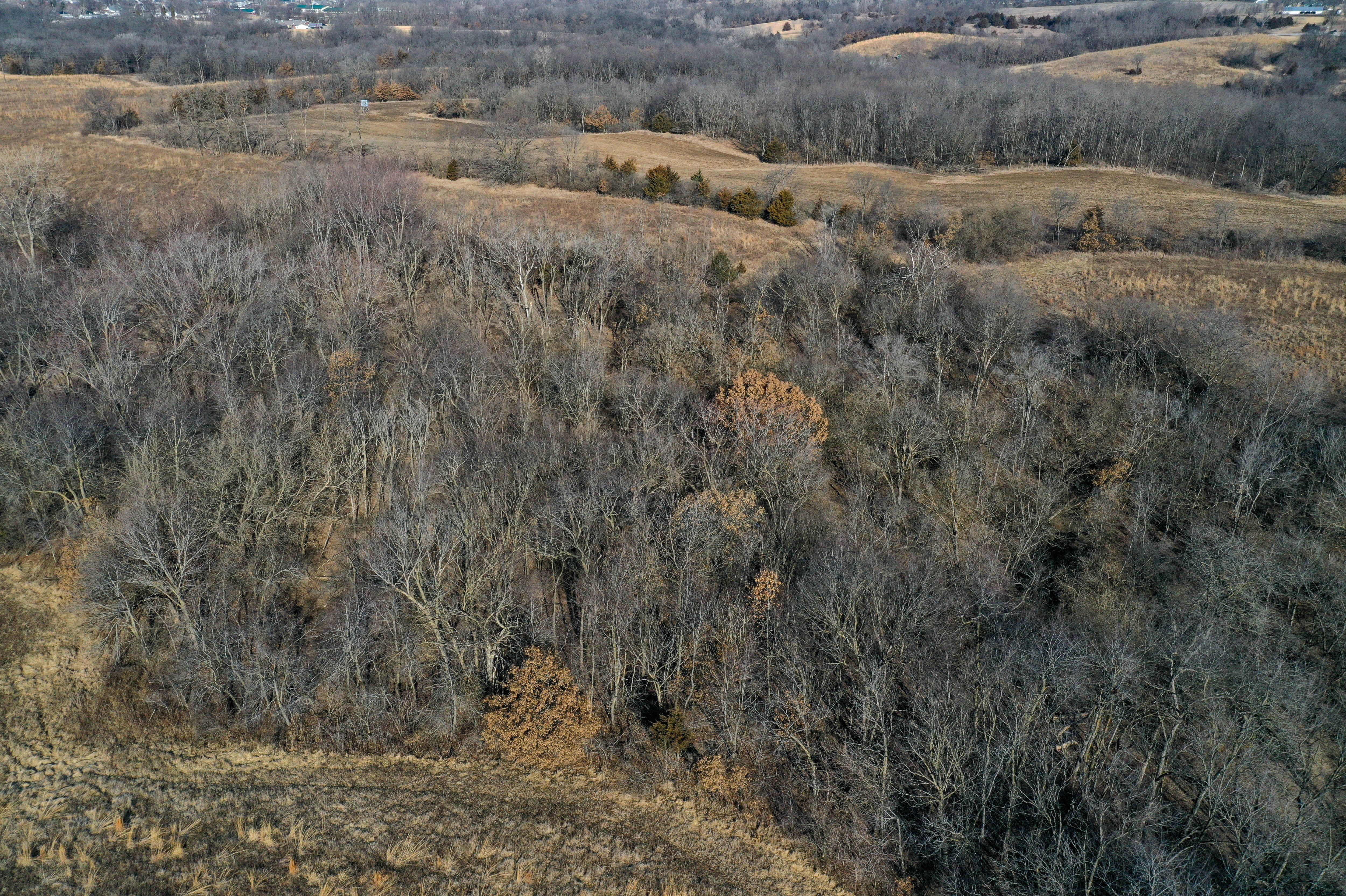 Listing Photo: 18135-DJI_0366