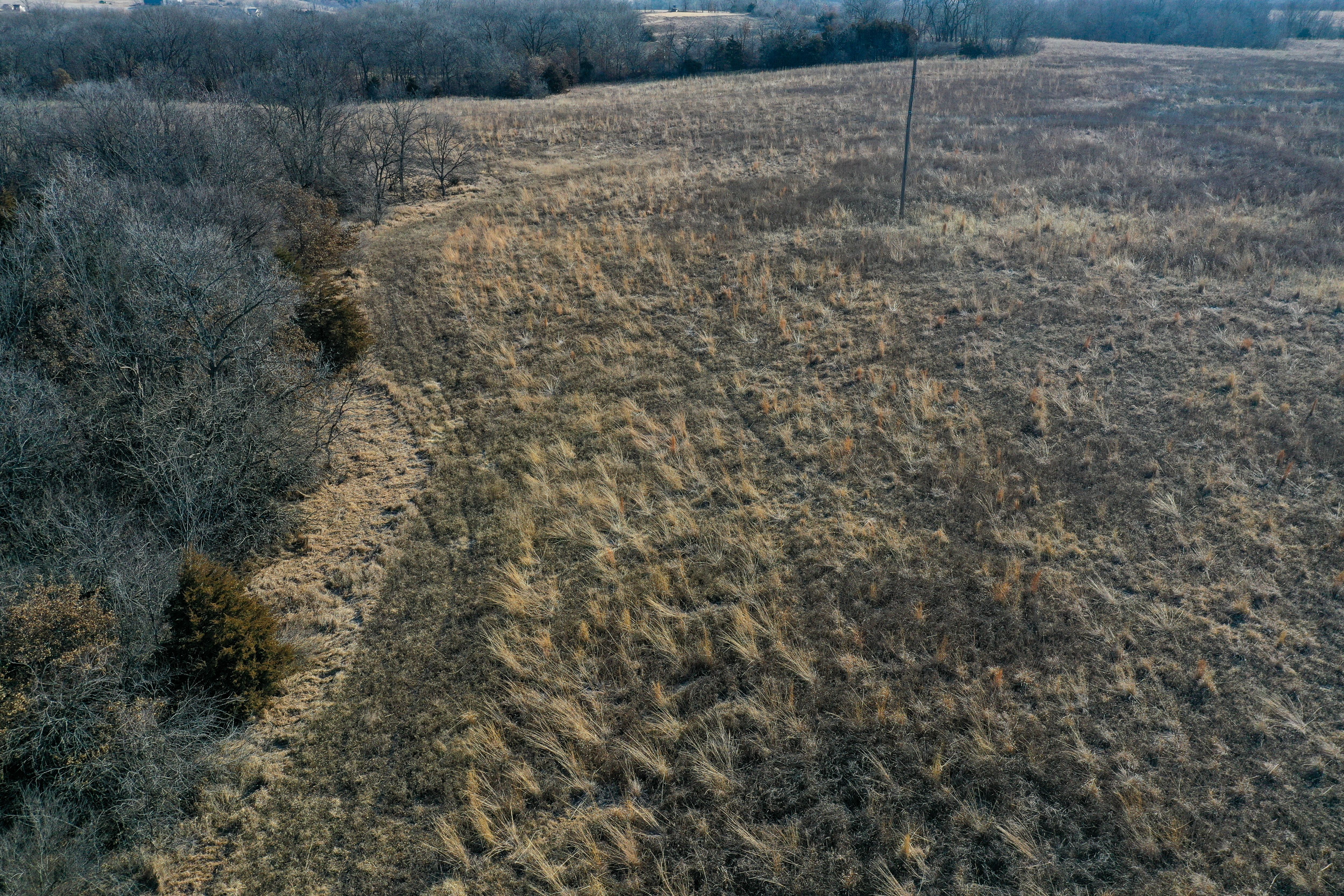 Listing Photo: 18135-DJI_0385