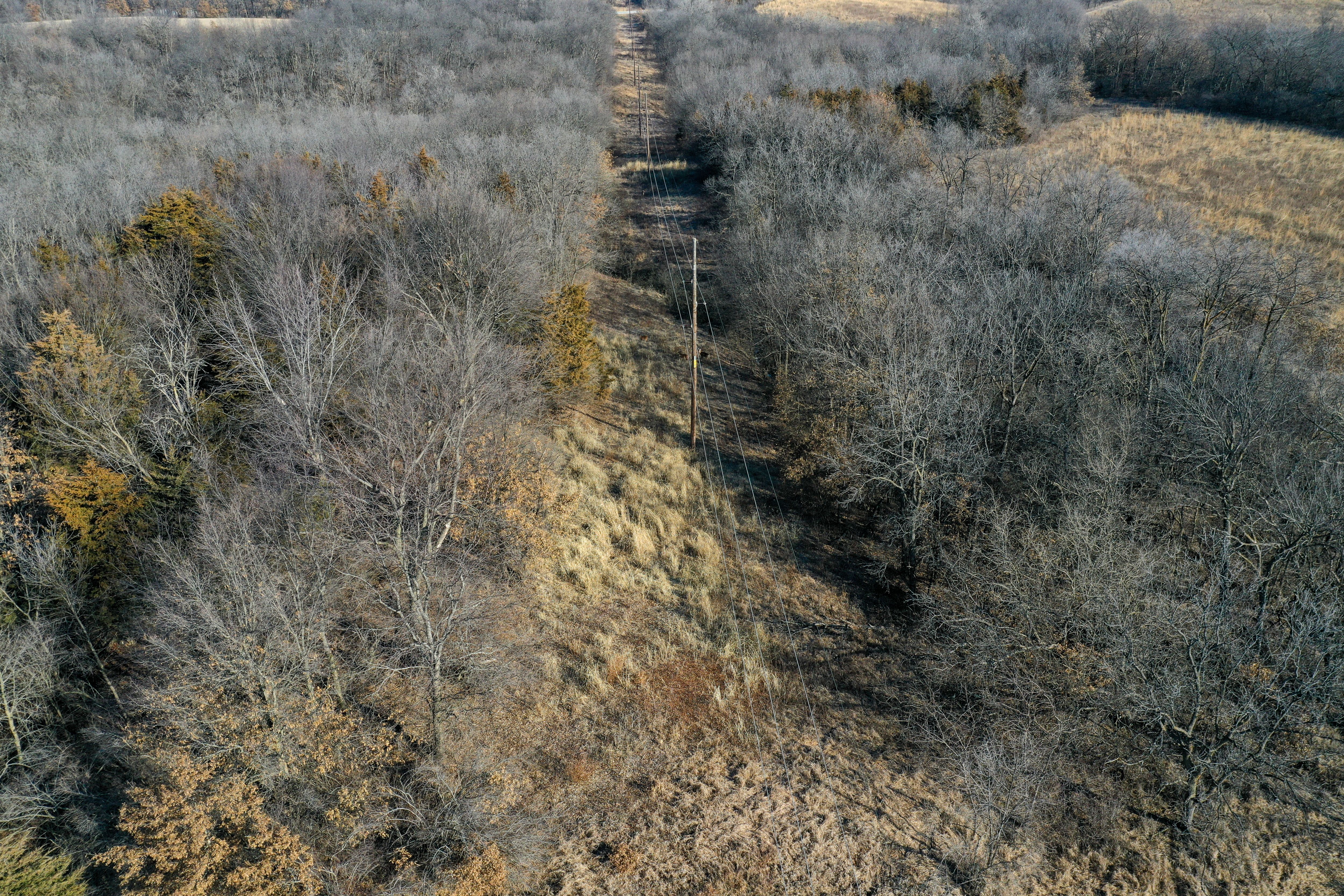 Listing Photo: 18135-DJI_0387