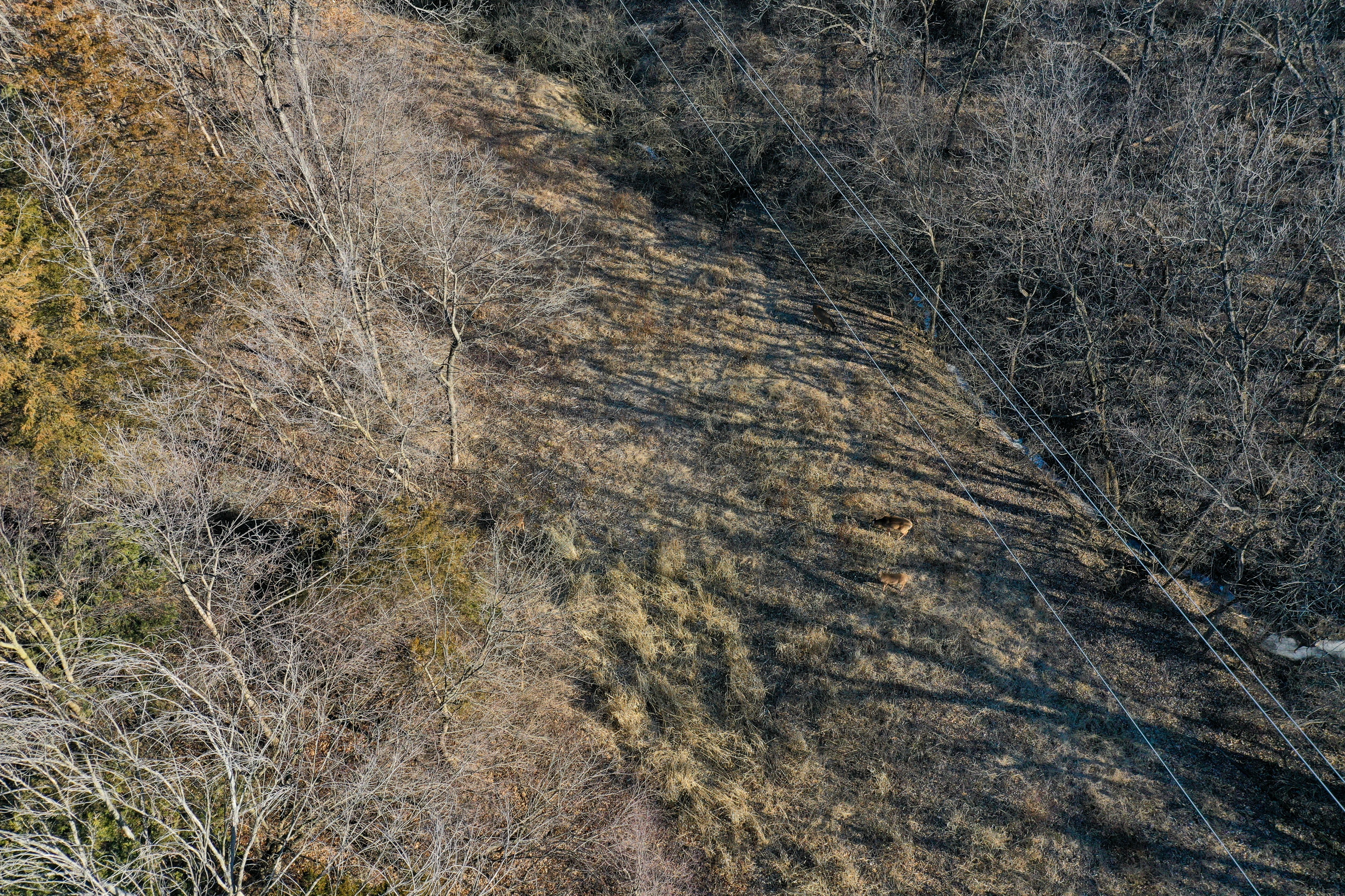 Listing Photo: 18135-DJI_0389