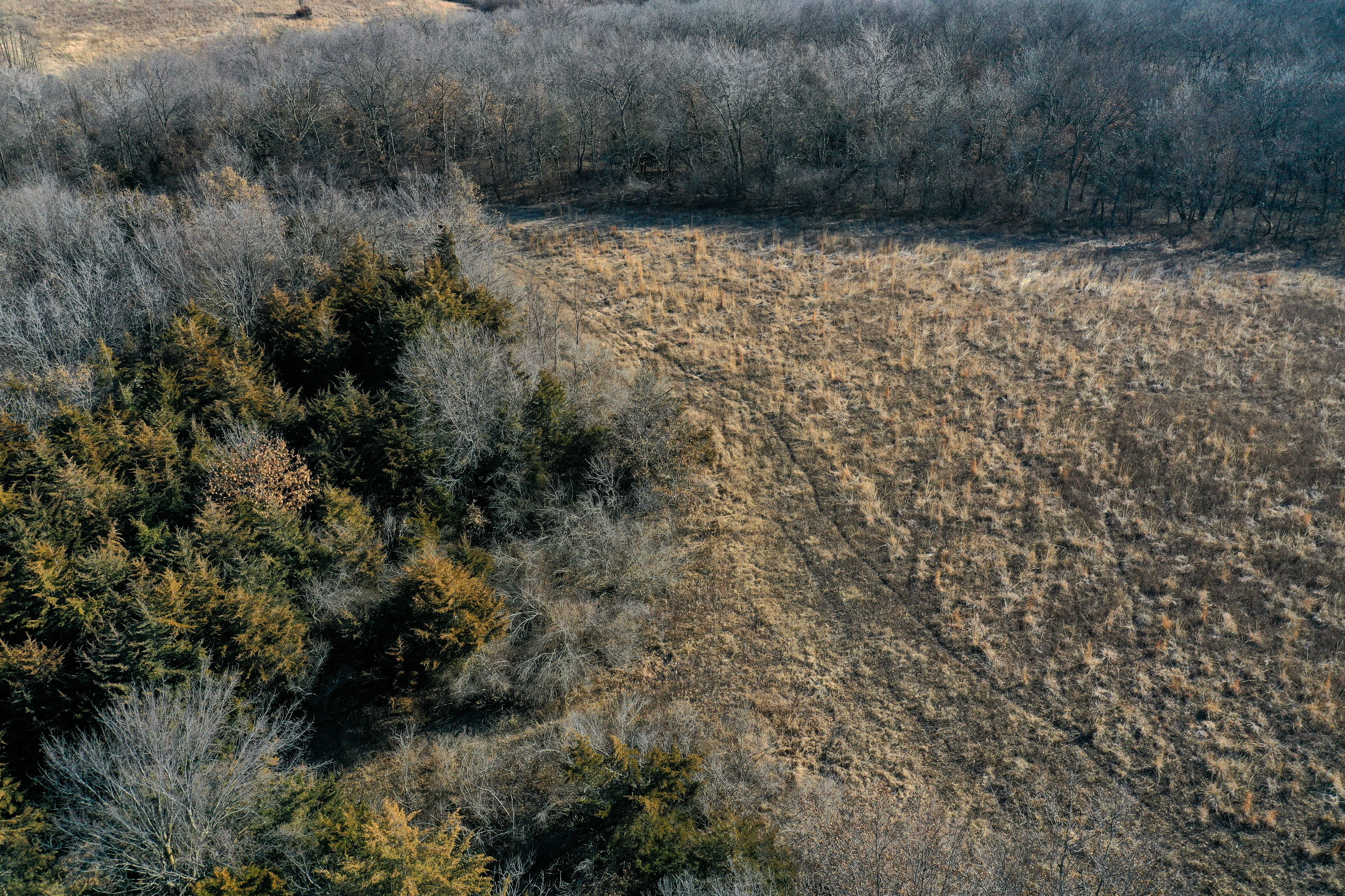 Listing Photo: 18135-DJI_0394