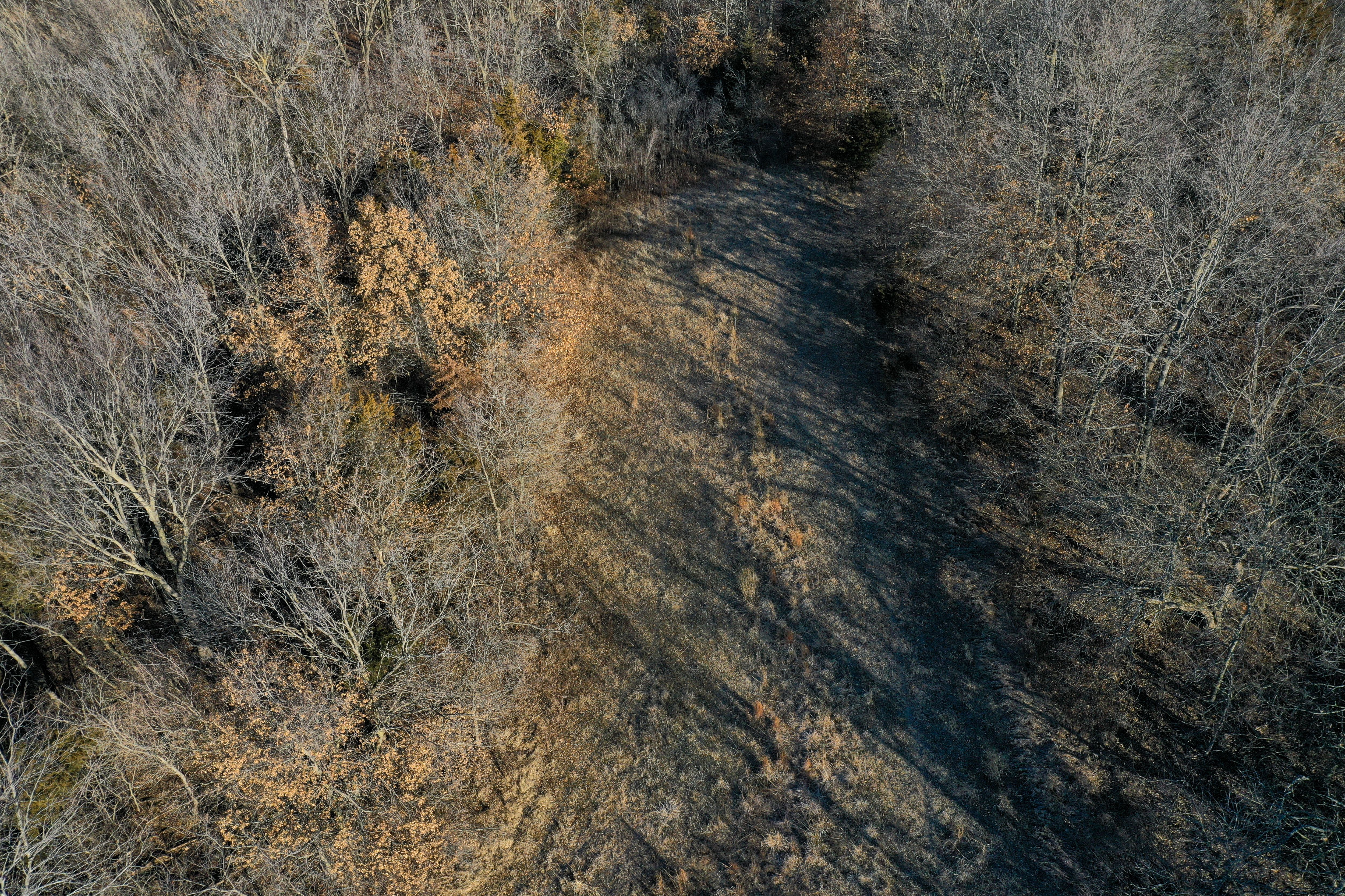 Listing Photo: 18135-DJI_0396