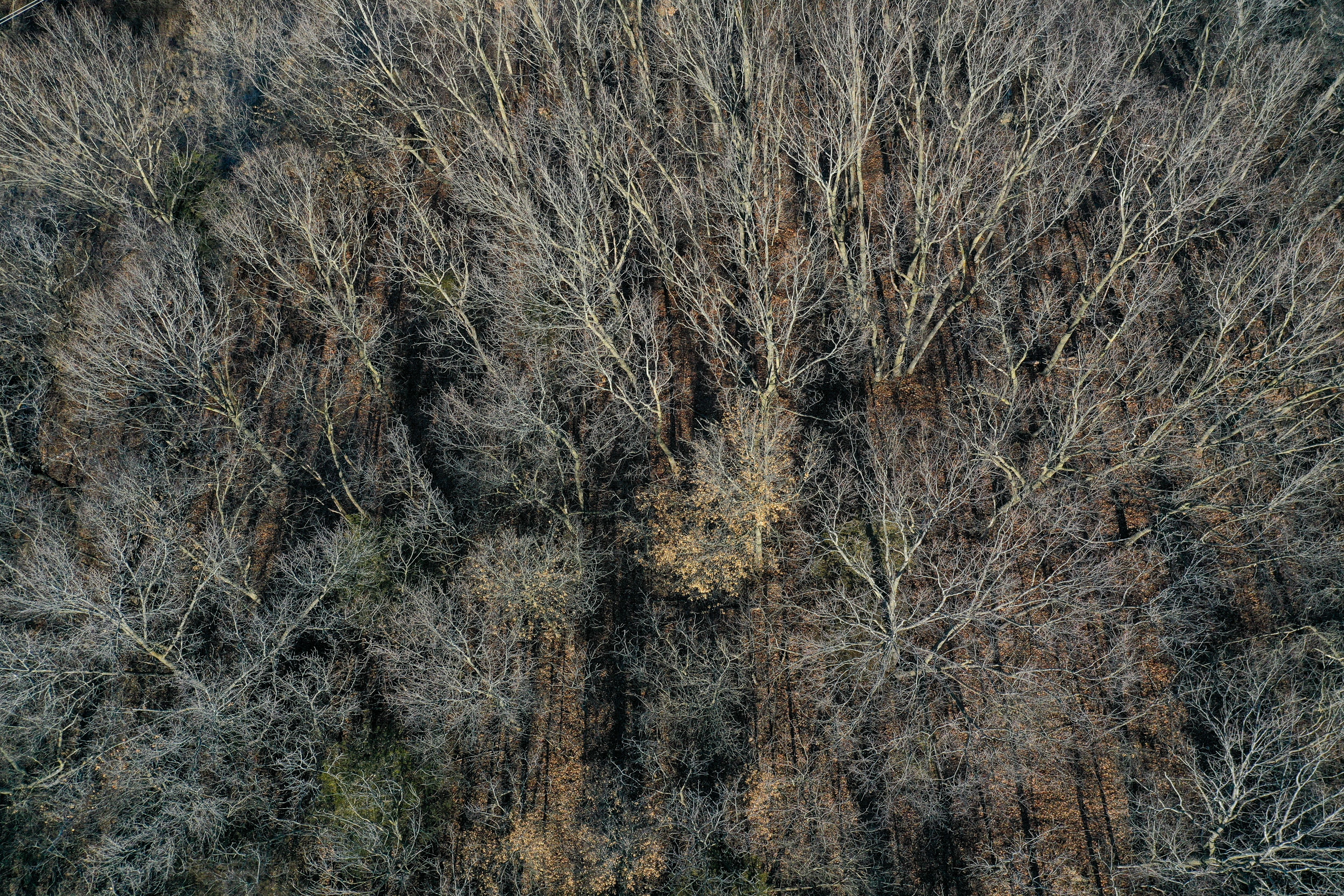 Listing Photo: 18135-DJI_0397