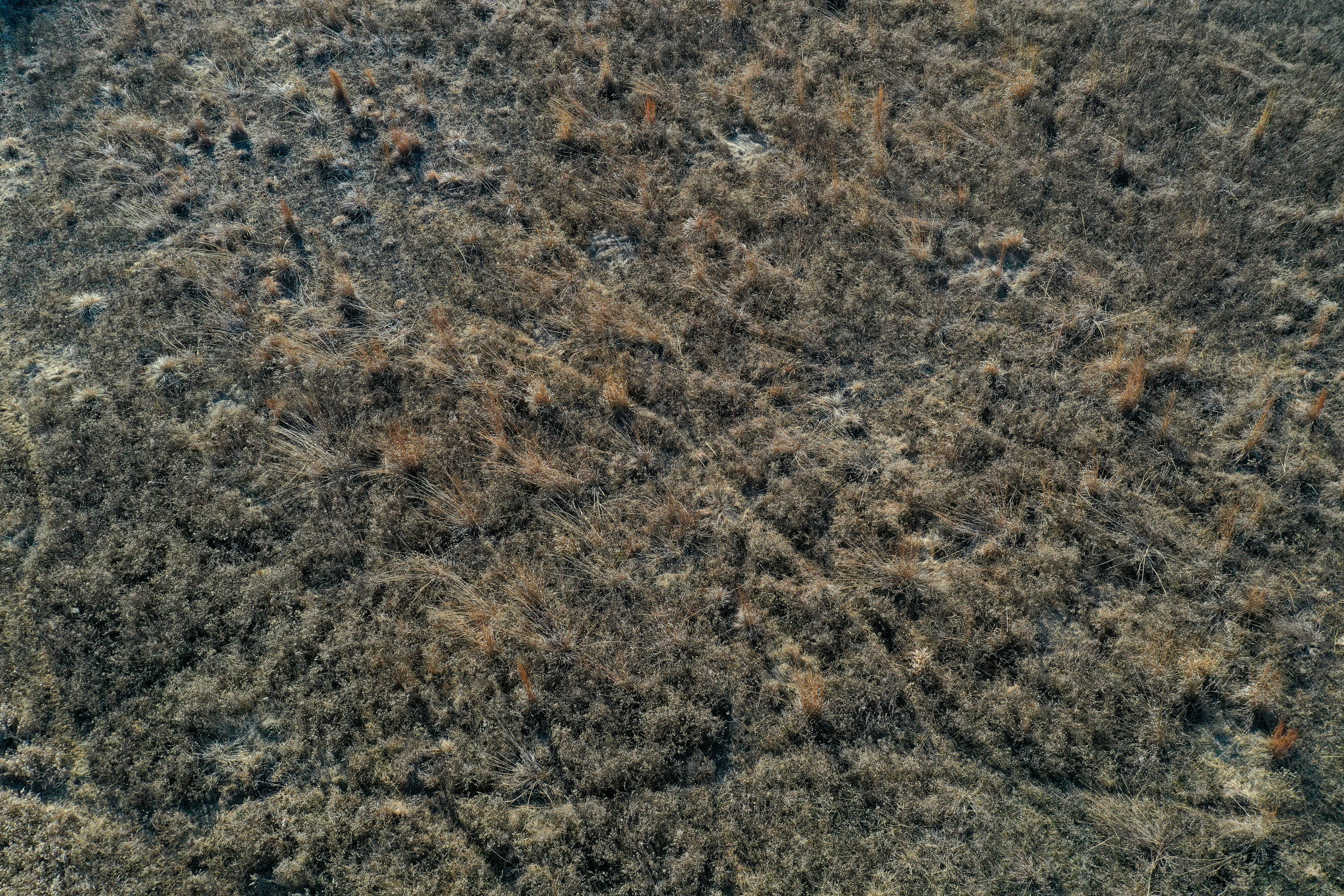 Listing Photo: 18135-DJI_0401