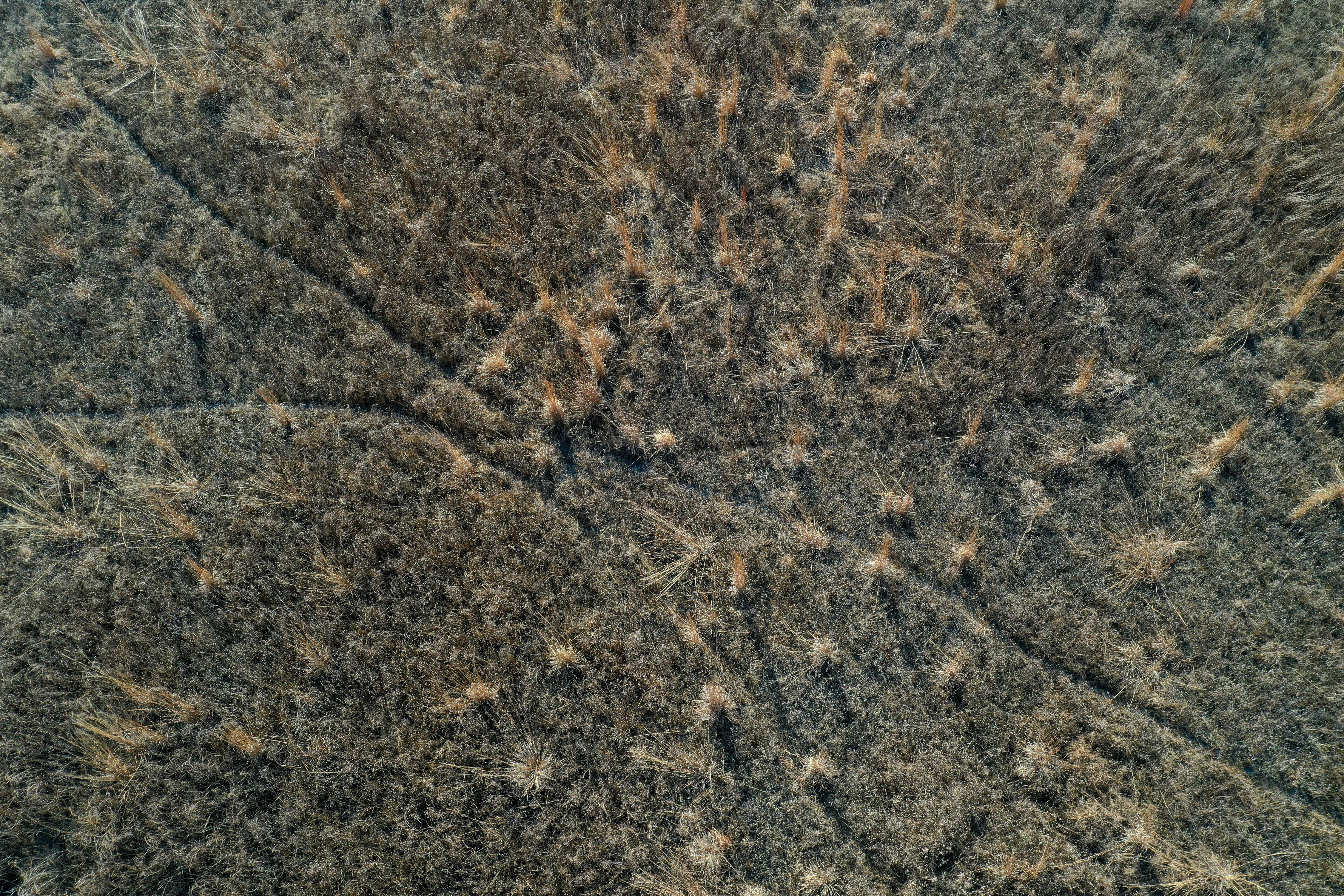 Listing Photo: 18135-DJI_0402