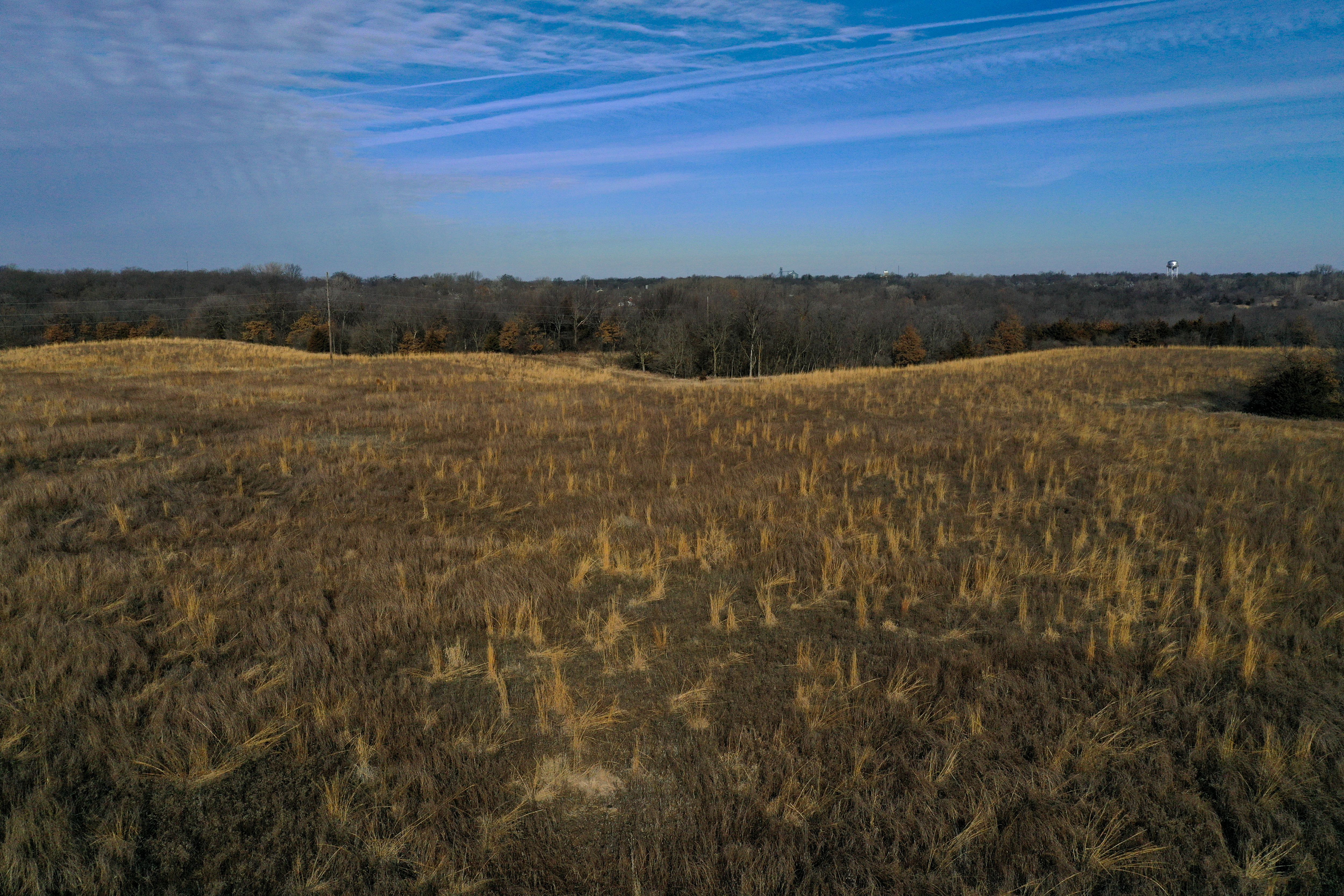 Listing Photo: 18135-DJI_0407