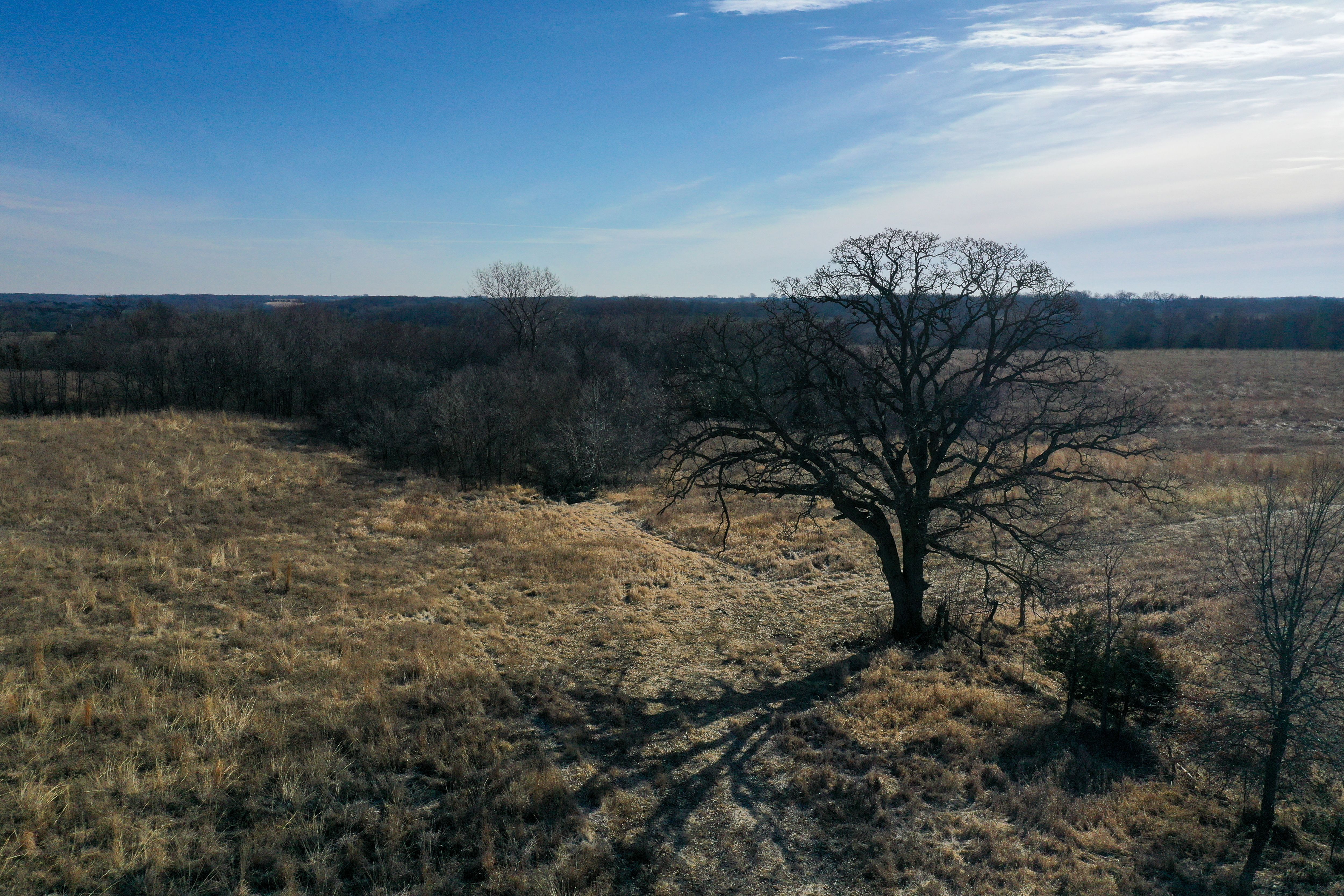 Listing Photo: 18135-DJI_0408